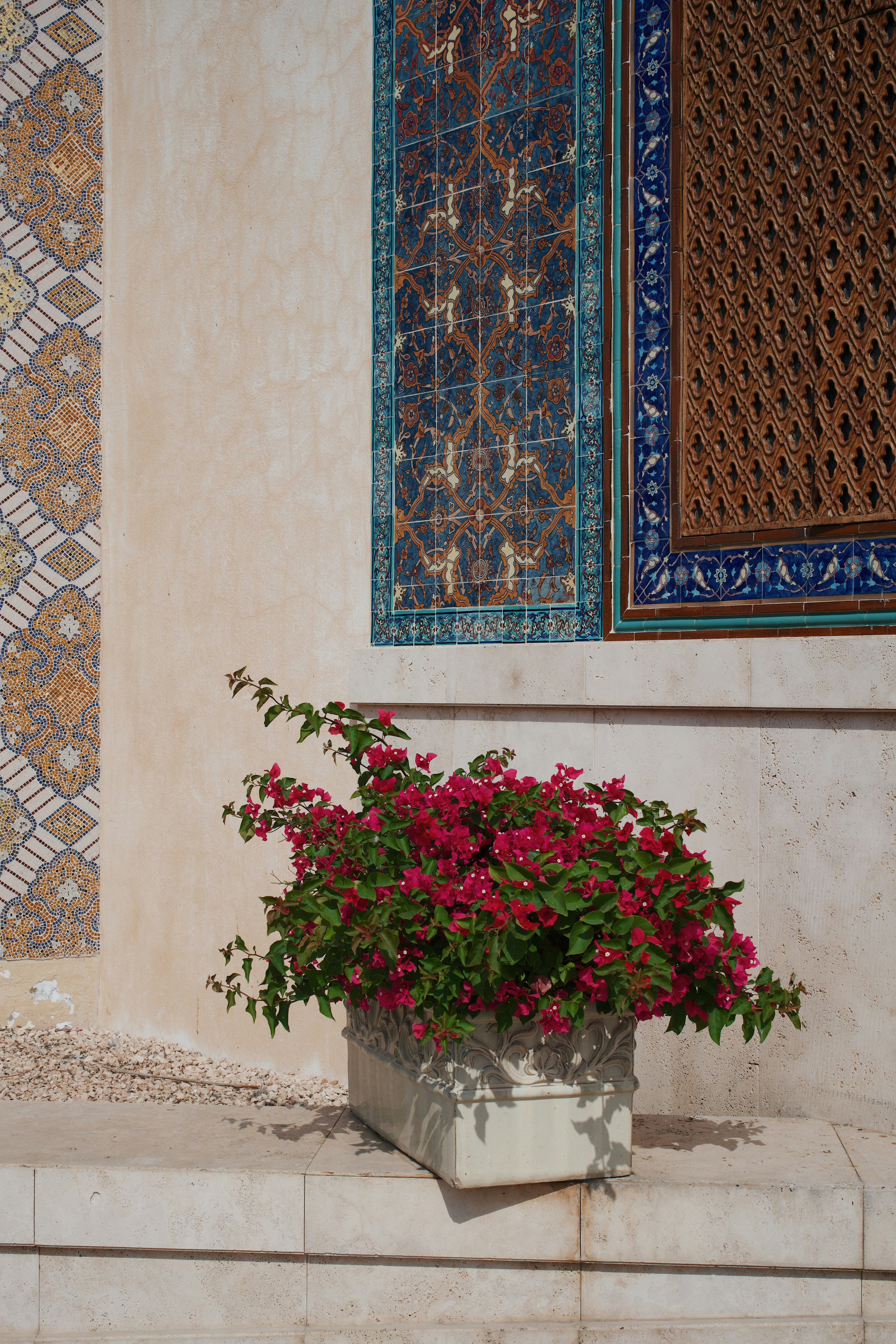 Ein Blumentopf an der Seite eines Gebäudes