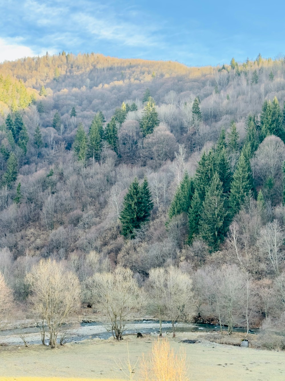 a herd of cattle grazing on a lush green hillside