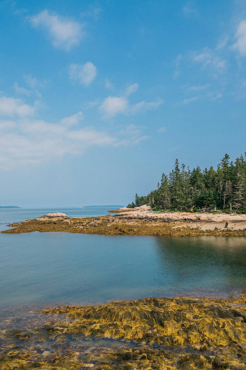 a body of water with a small island in the background