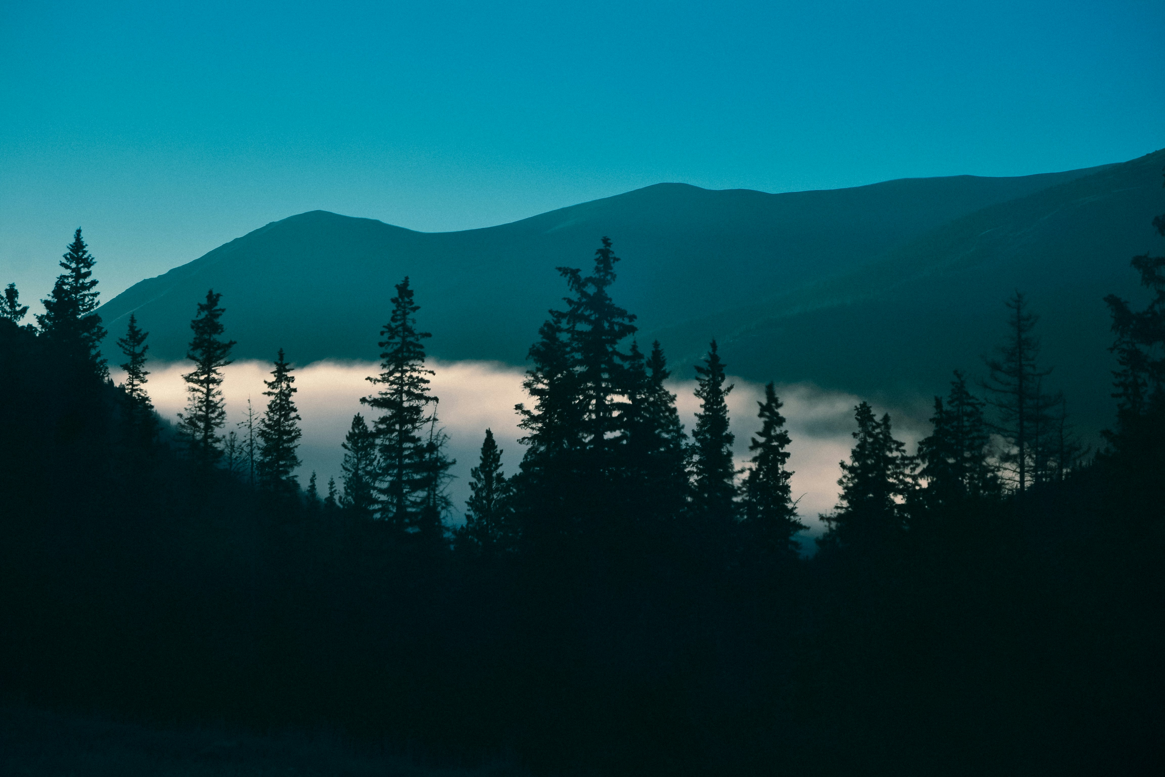 Photo by milliegillana