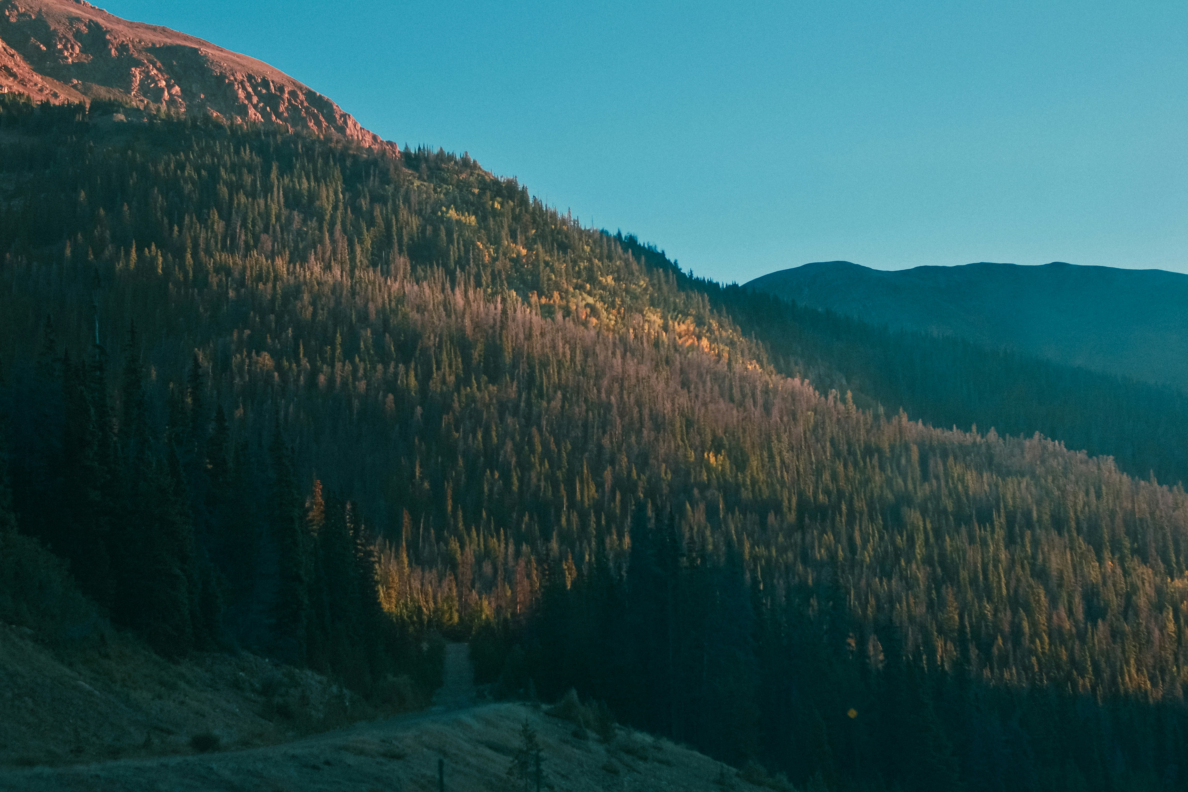 Photo by milliegillana