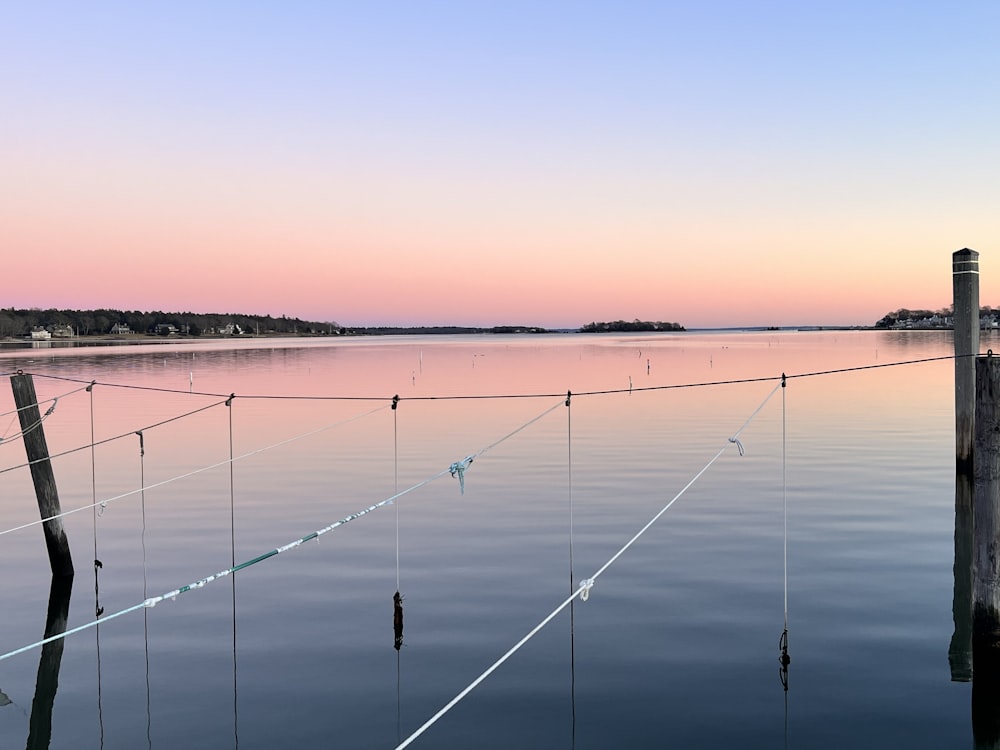 a large body of water with a net on top of it