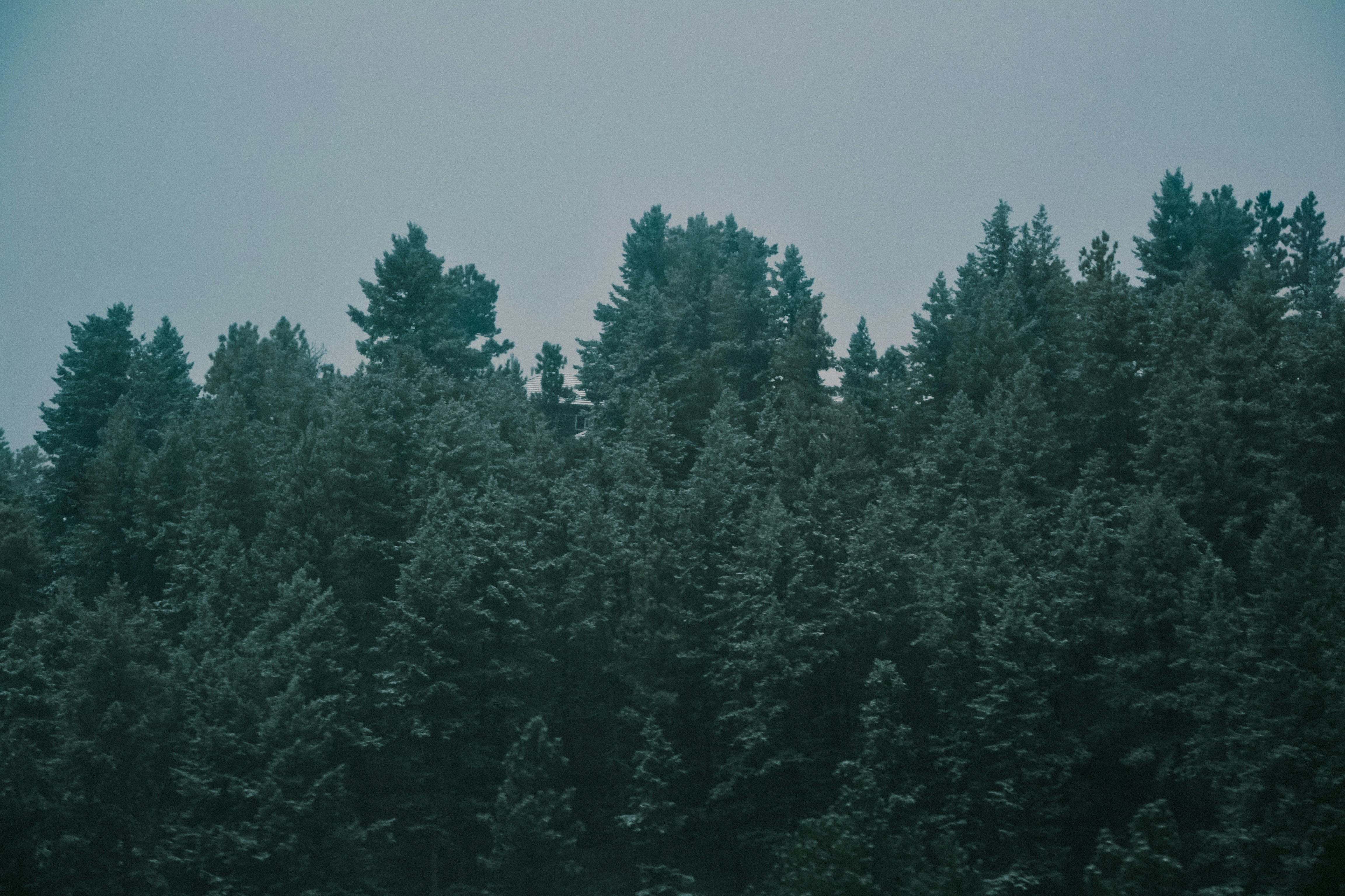 Photo by milliegillana