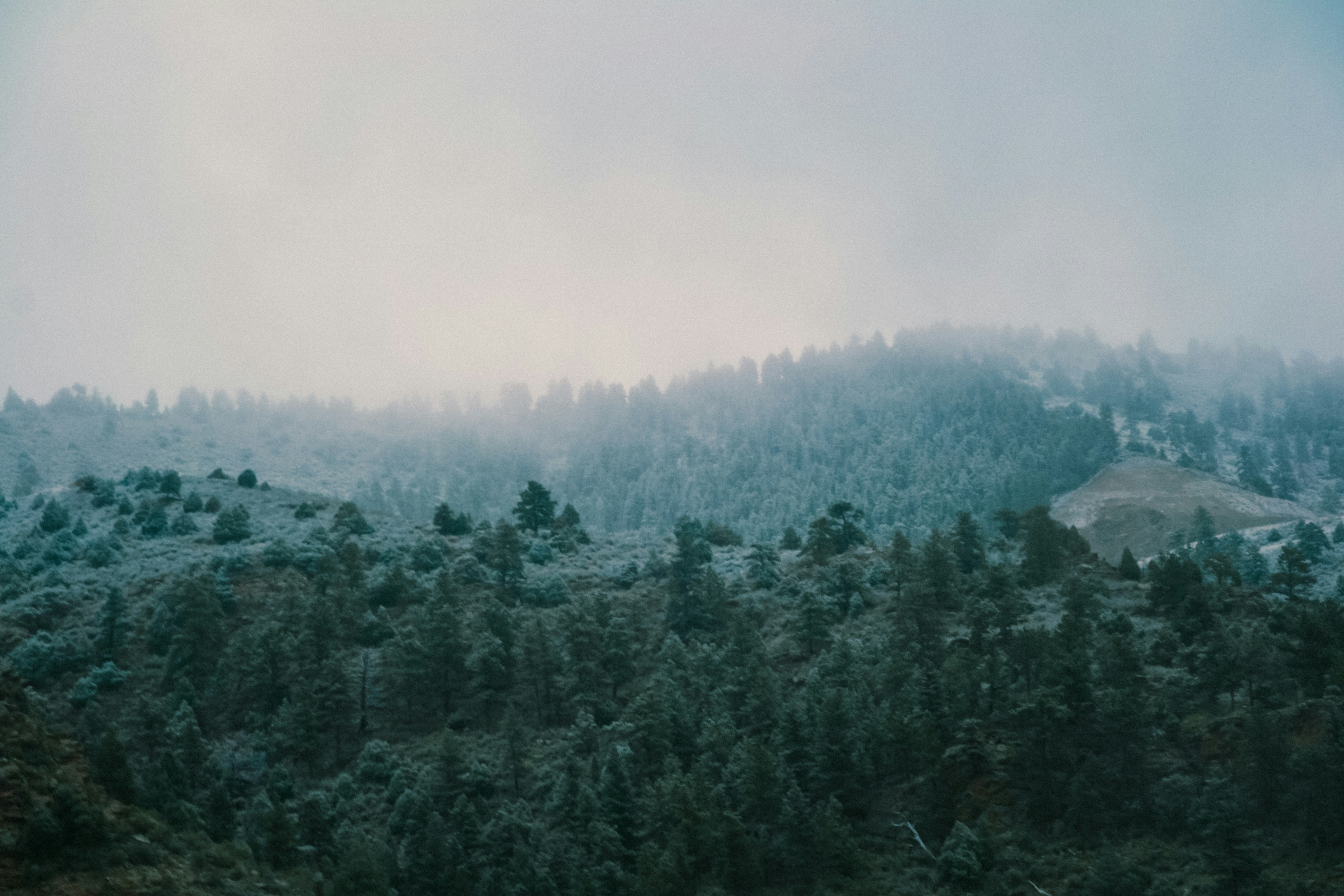 Photo by milliegillana