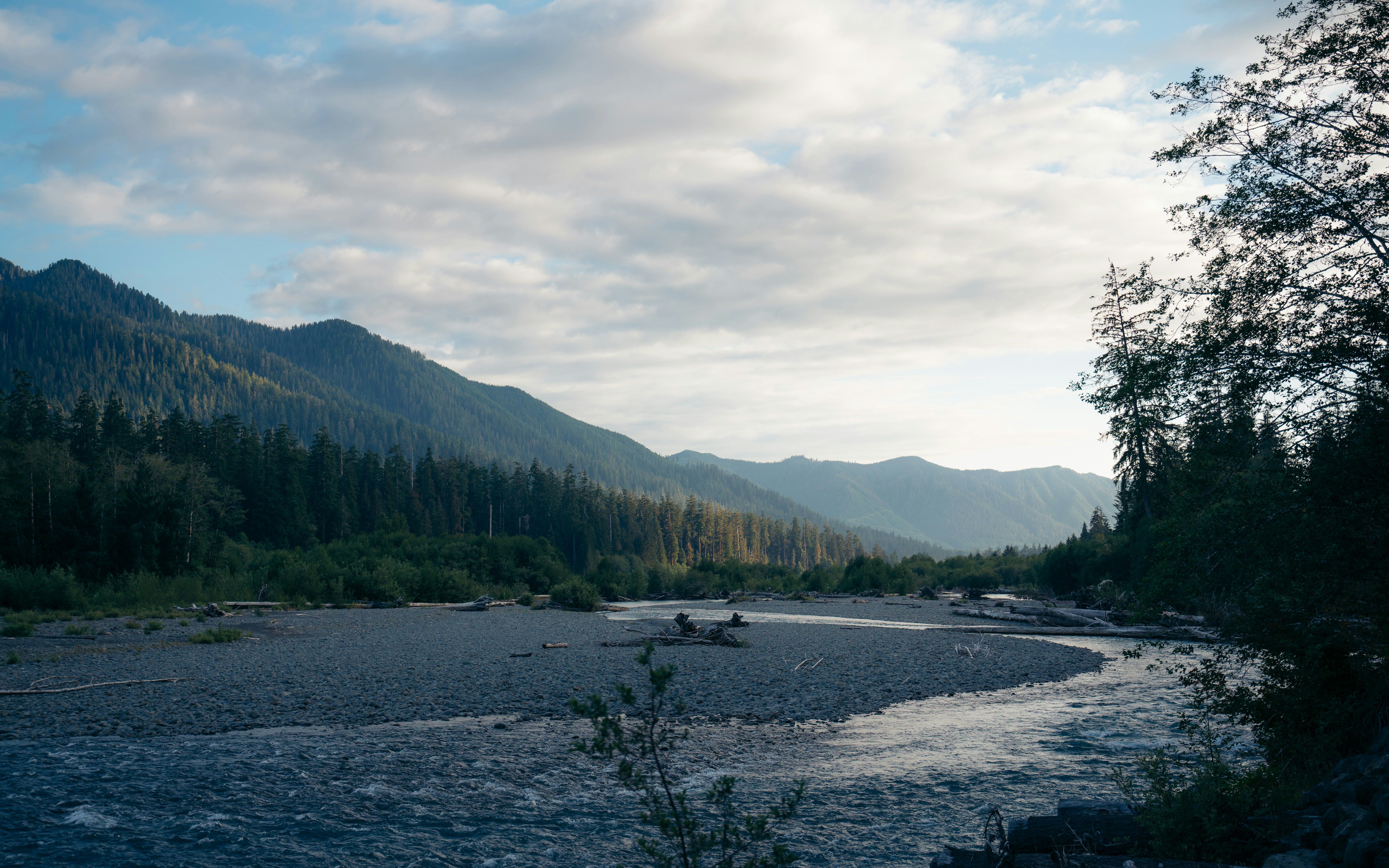 Photo by nickdafonseca