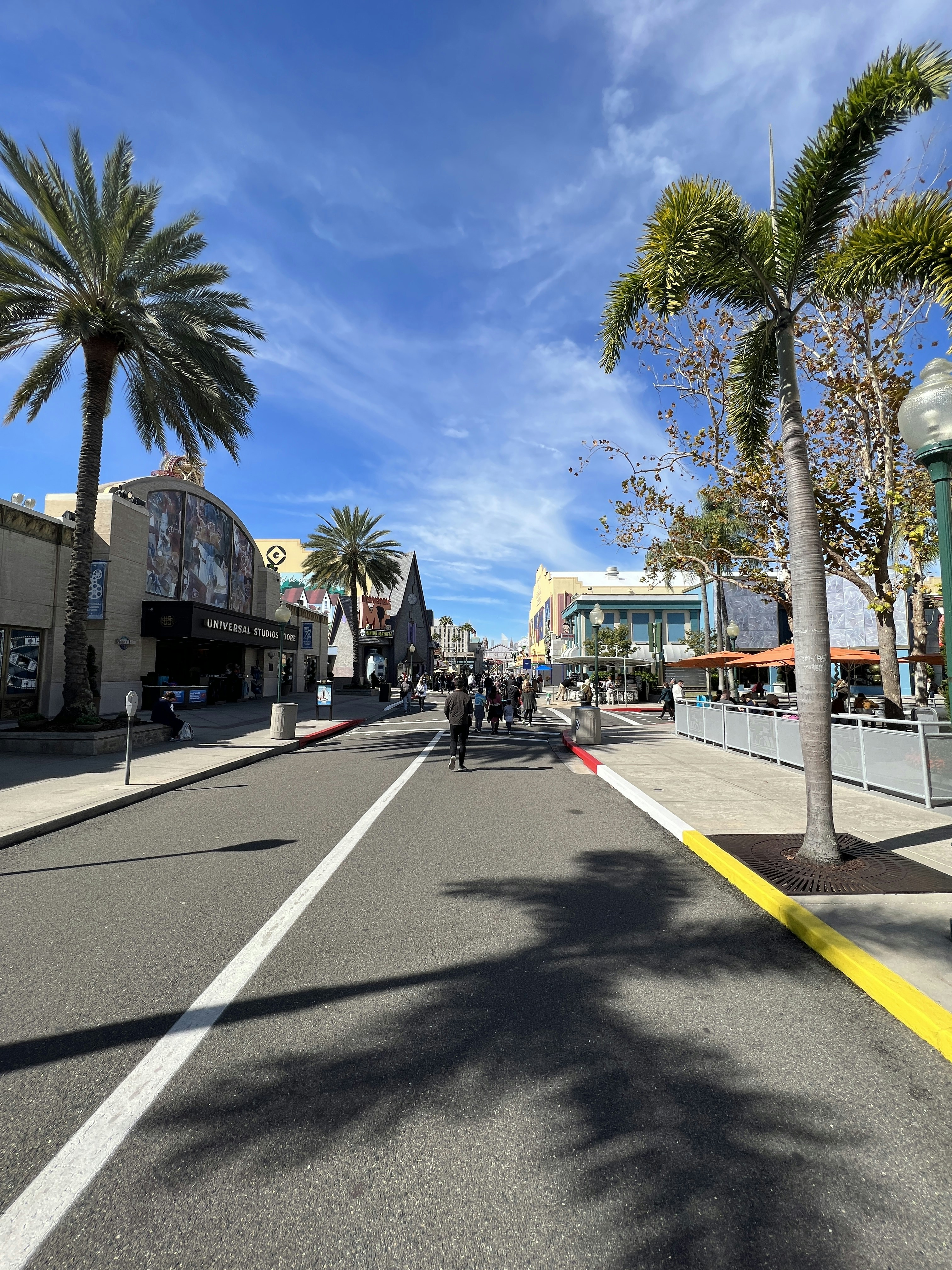 a person riding a bike down a street next to palm trees