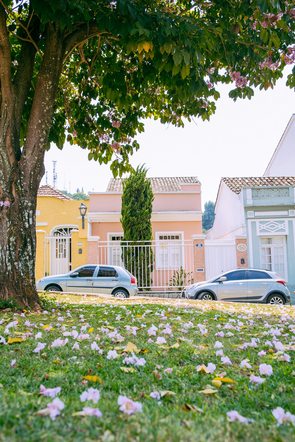 a couple of cars parked next to a tree