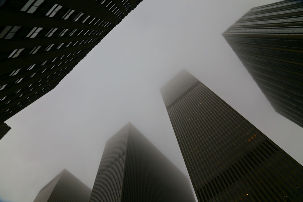 a group of tall buildings in a foggy city