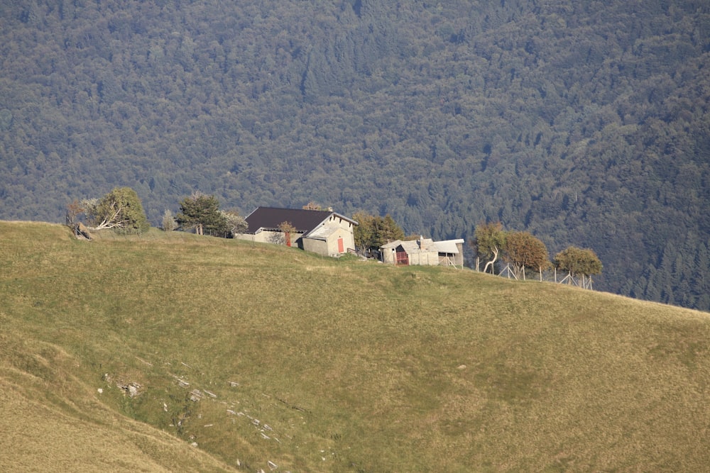 a house on a hill with trees in the background