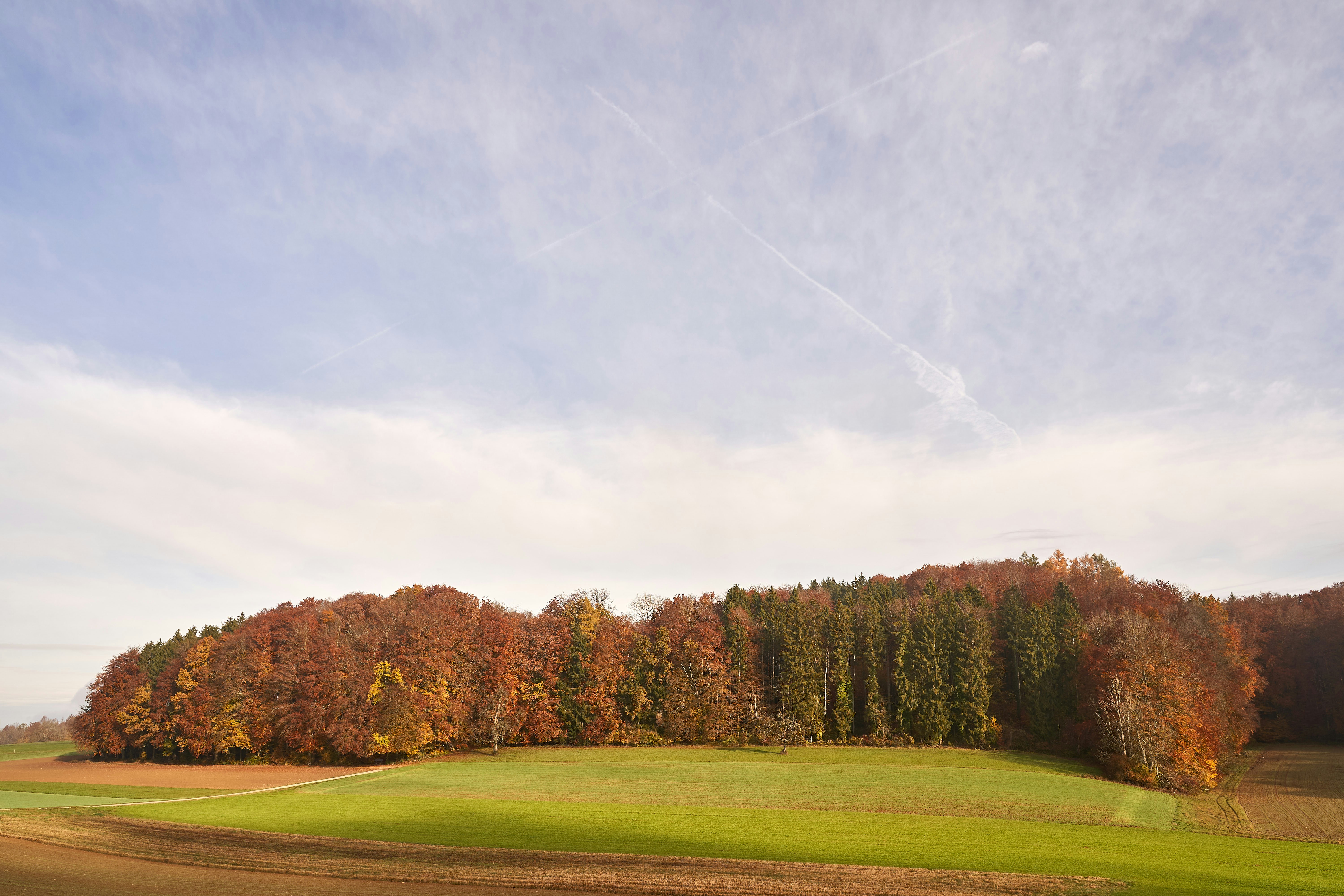 Photo by wolfgang_hasselmann