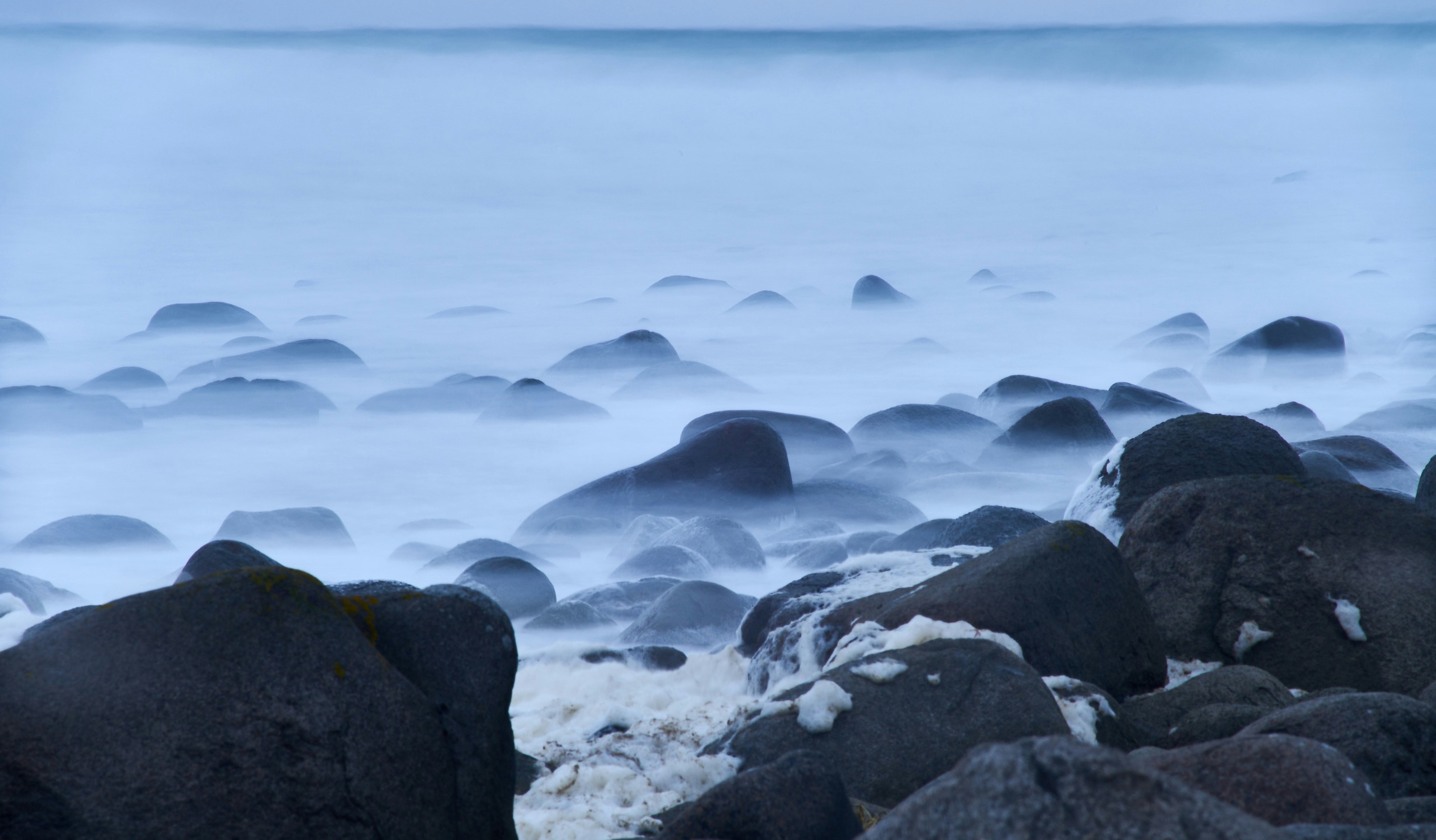 Photo by wolfgang_hasselmann