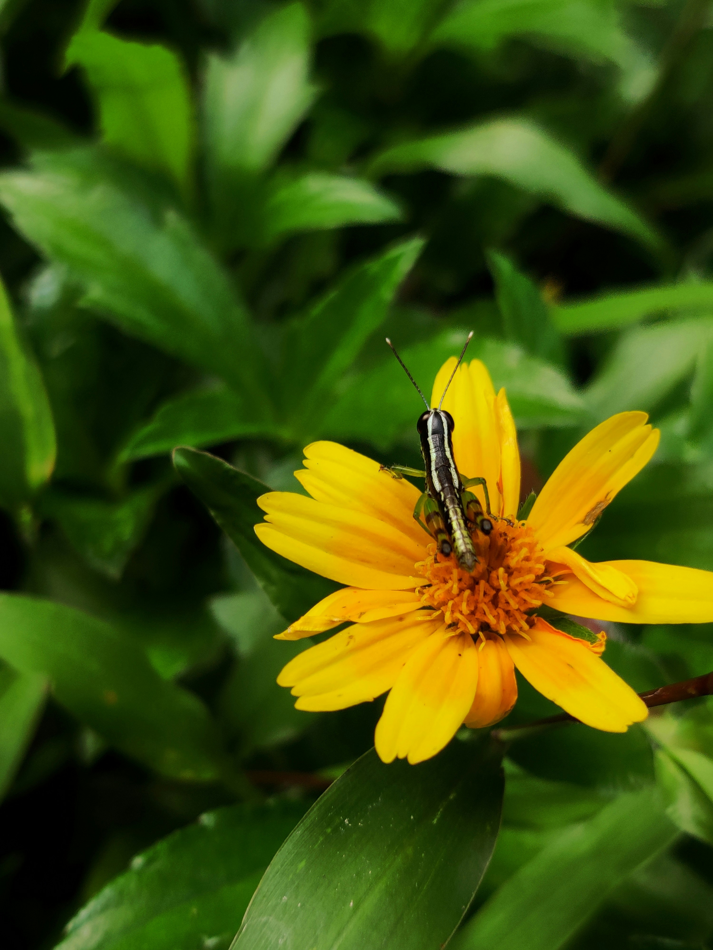 Photo by eldho4007