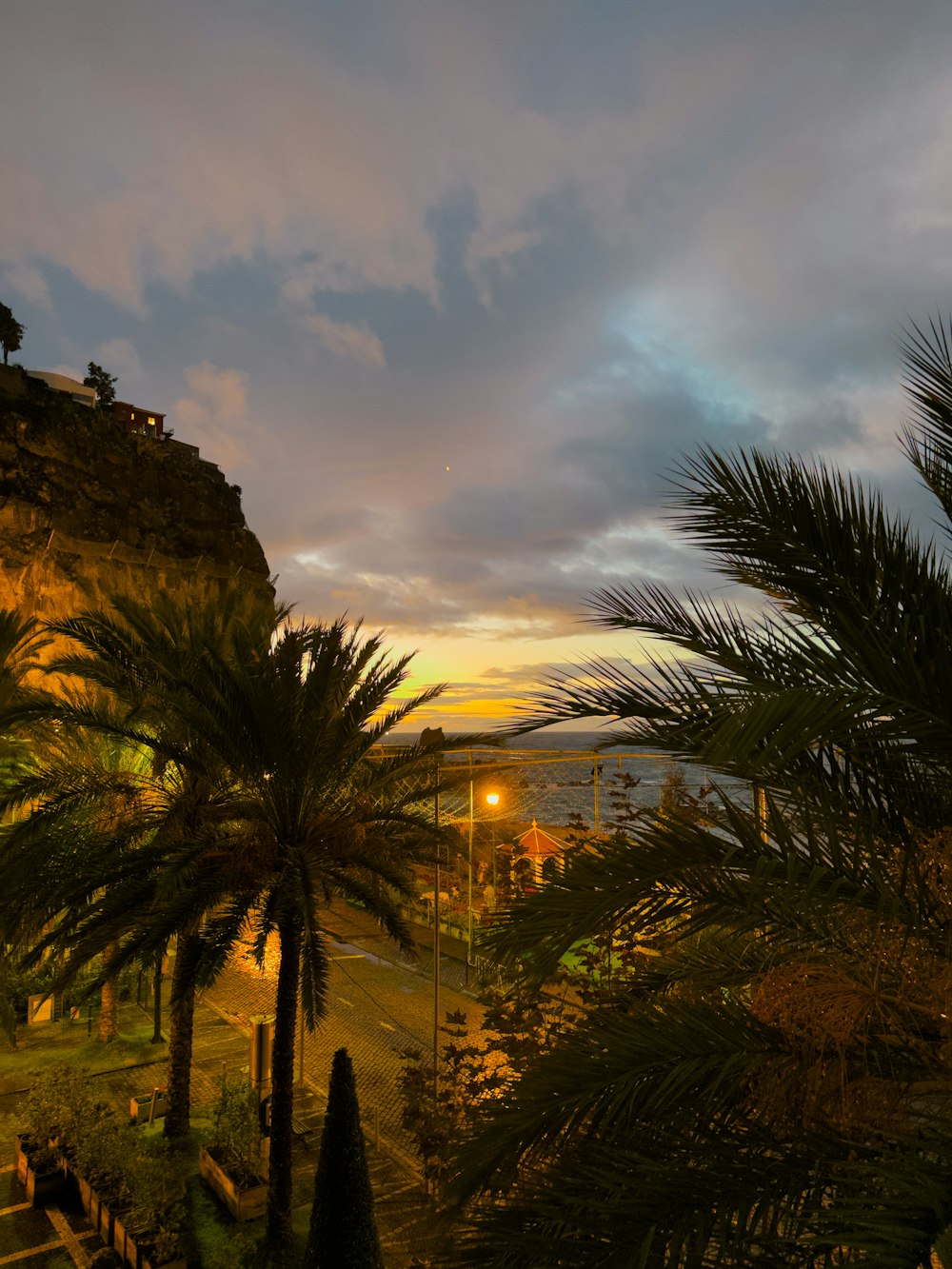 a view of a sunset with palm trees in the foreground