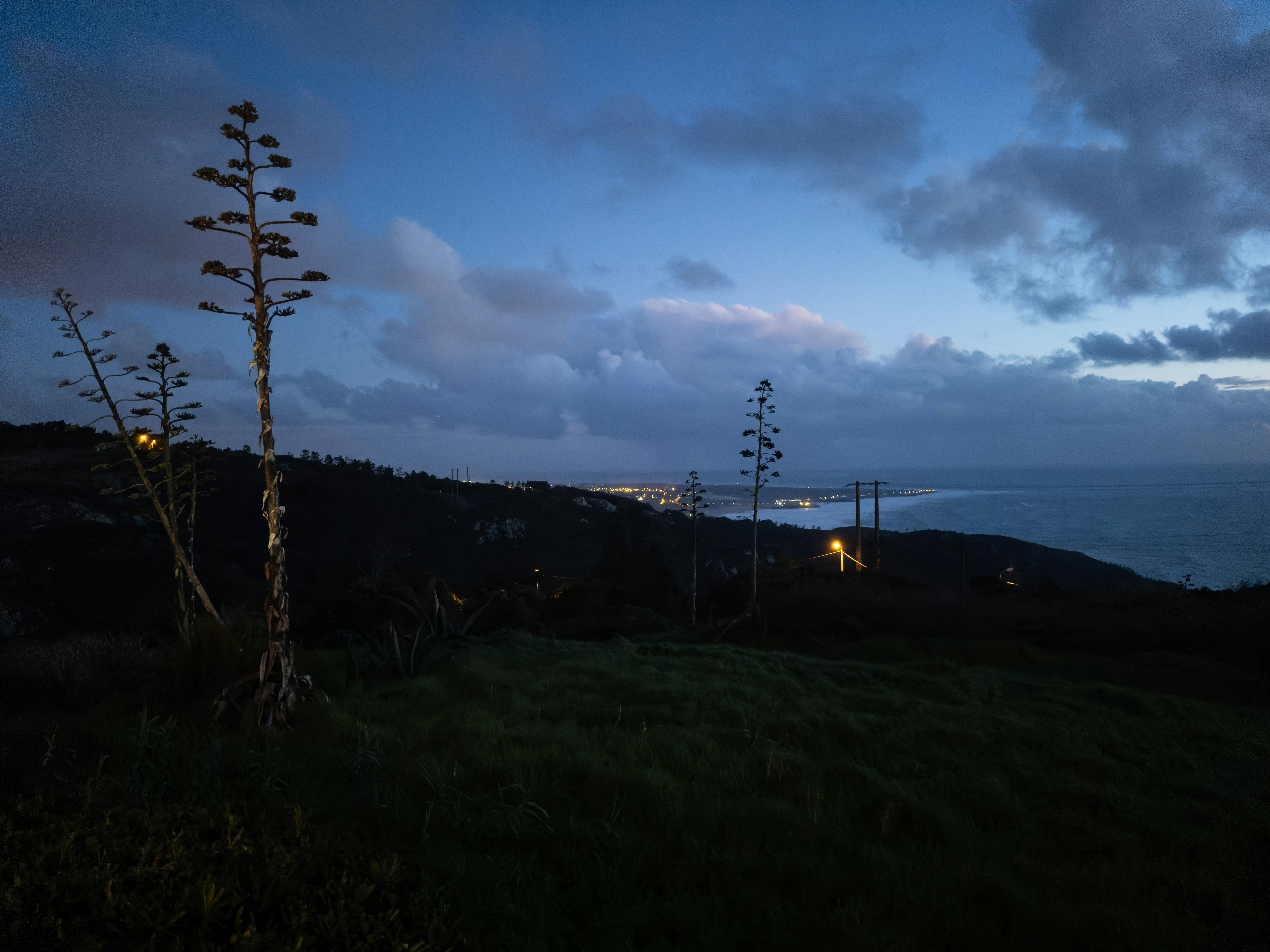 a view of the ocean from a hill at night