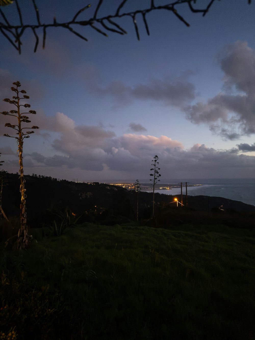 a view of the ocean from a hill at night