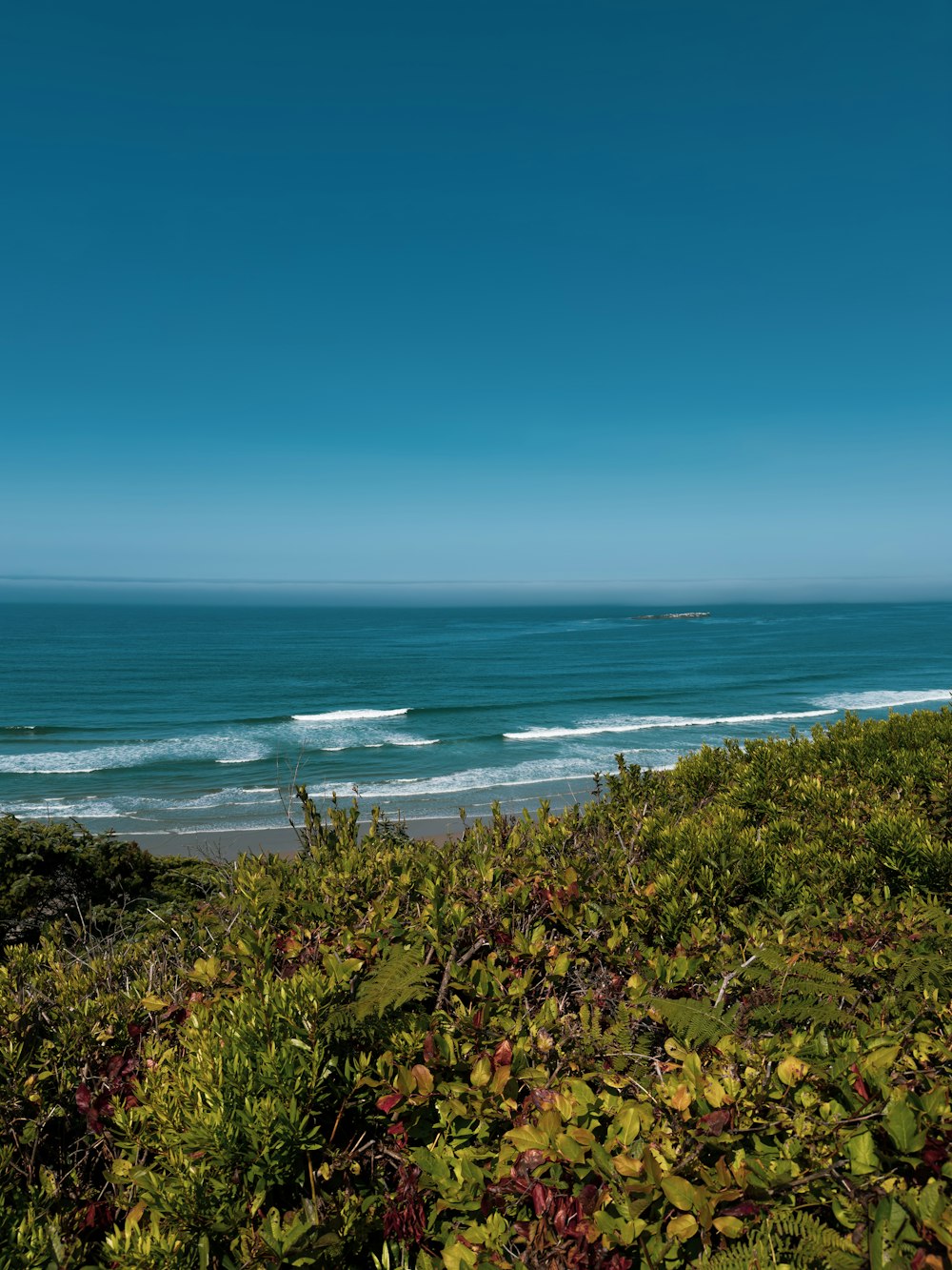 a view of the ocean from the top of a hill