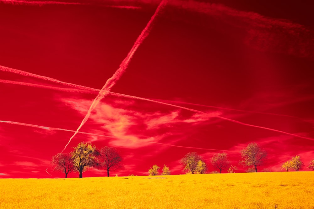 a field with trees and a red sky