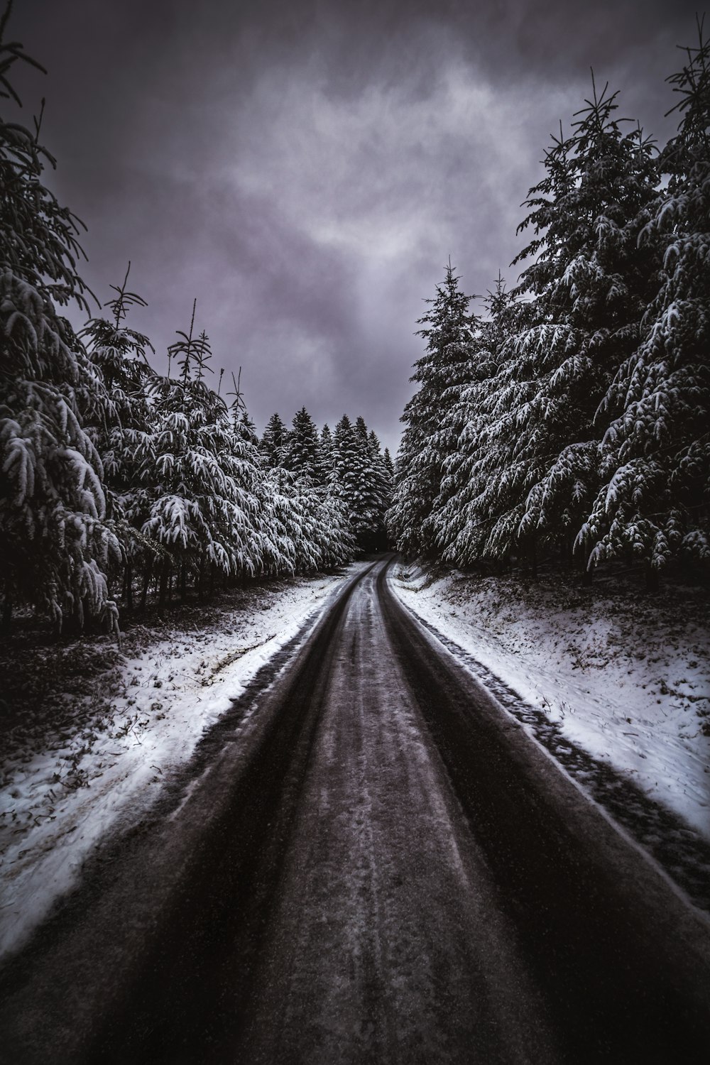 uma estrada no meio de uma floresta coberta de neve