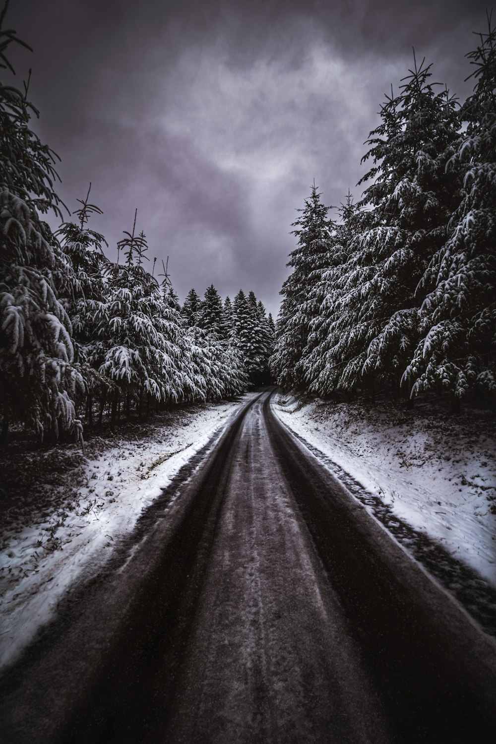 a road in the middle of a forest covered in snow