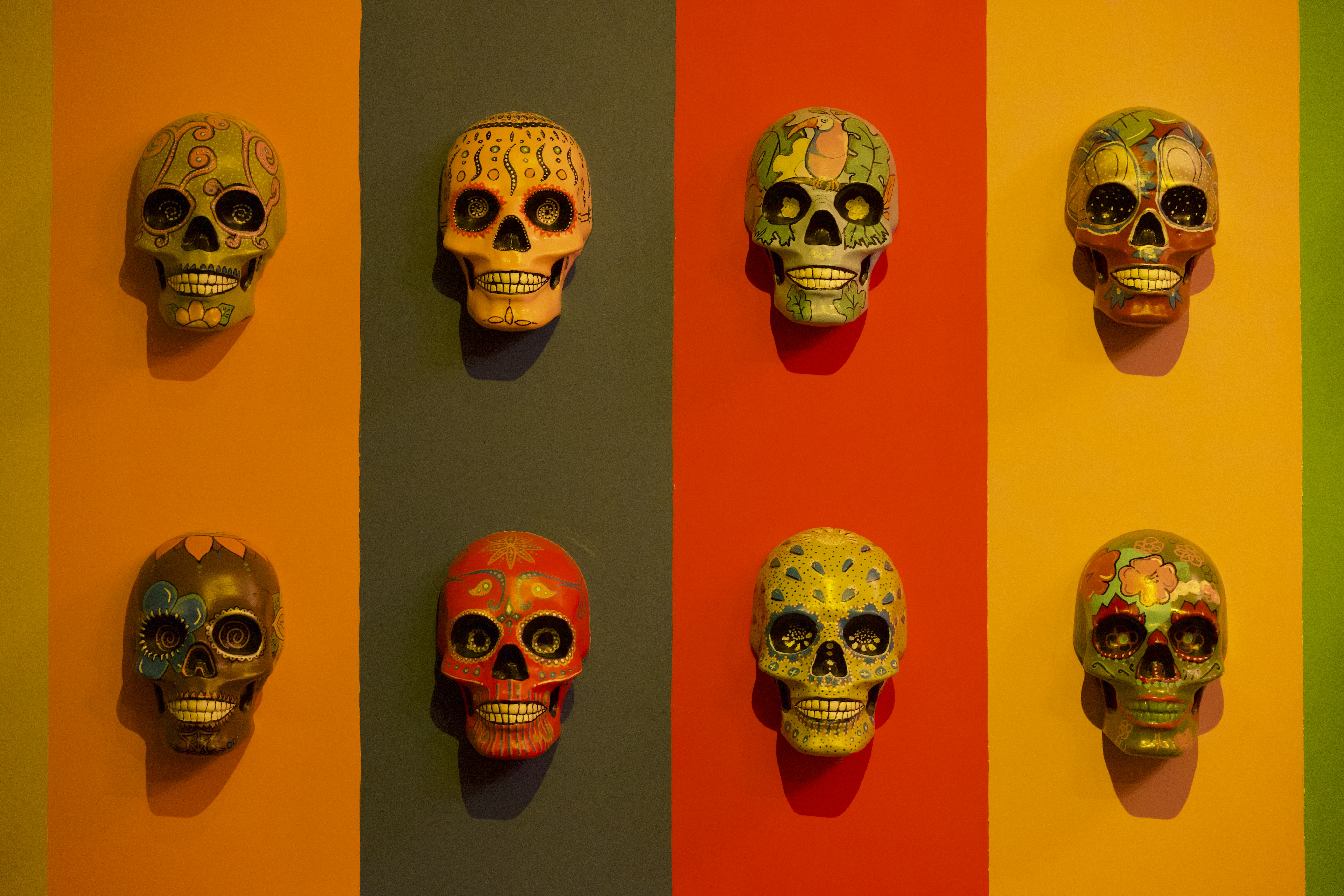 Photo by aminzabardast