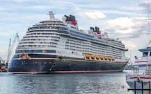 a large cruise ship docked at a dock