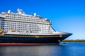 a large cruise ship in a body of water
