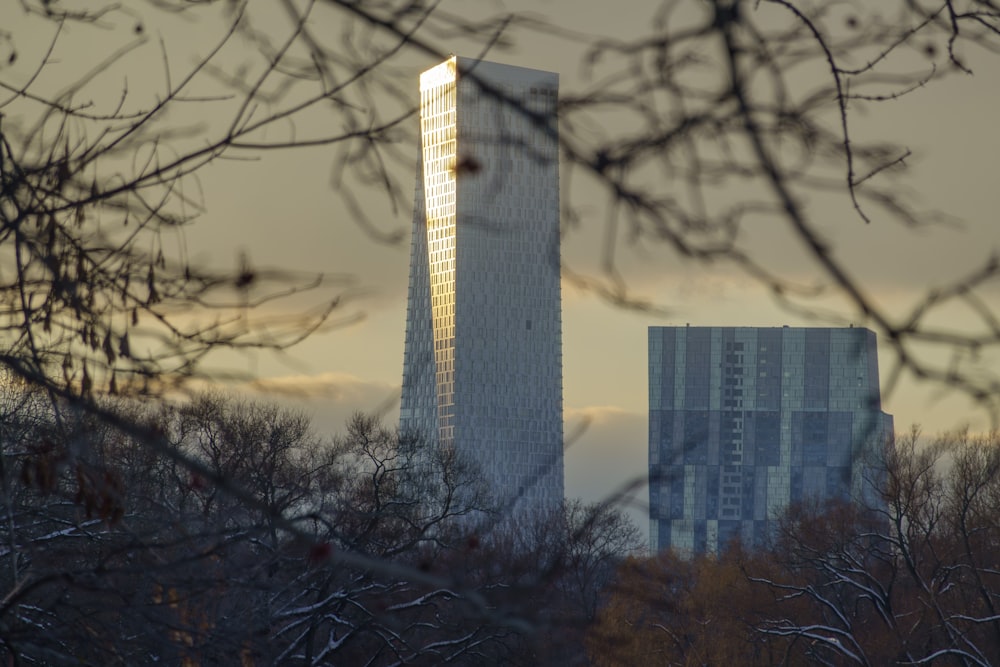 a very tall building sitting in the middle of a forest