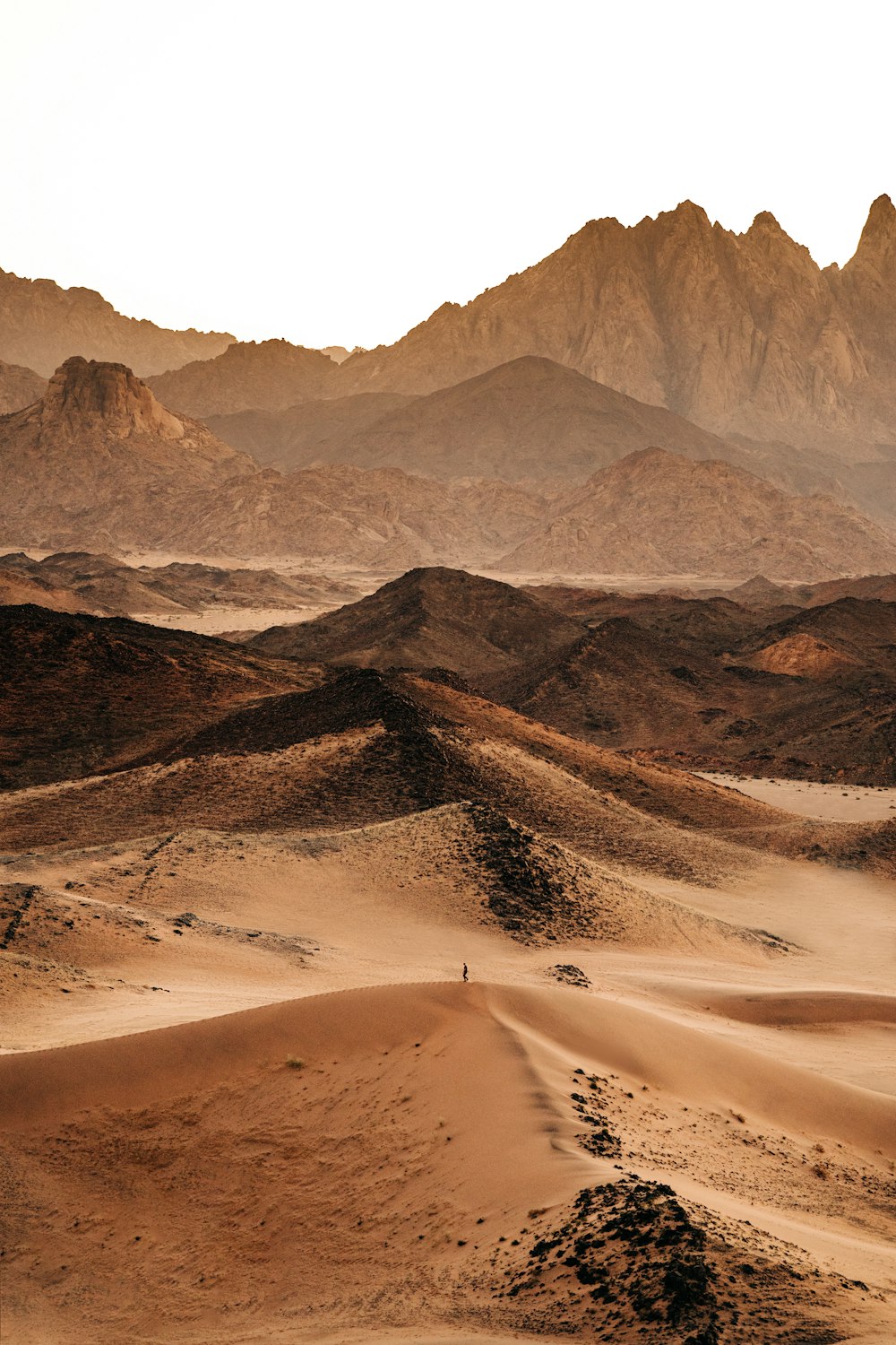 a desert landscape with mountains in the background