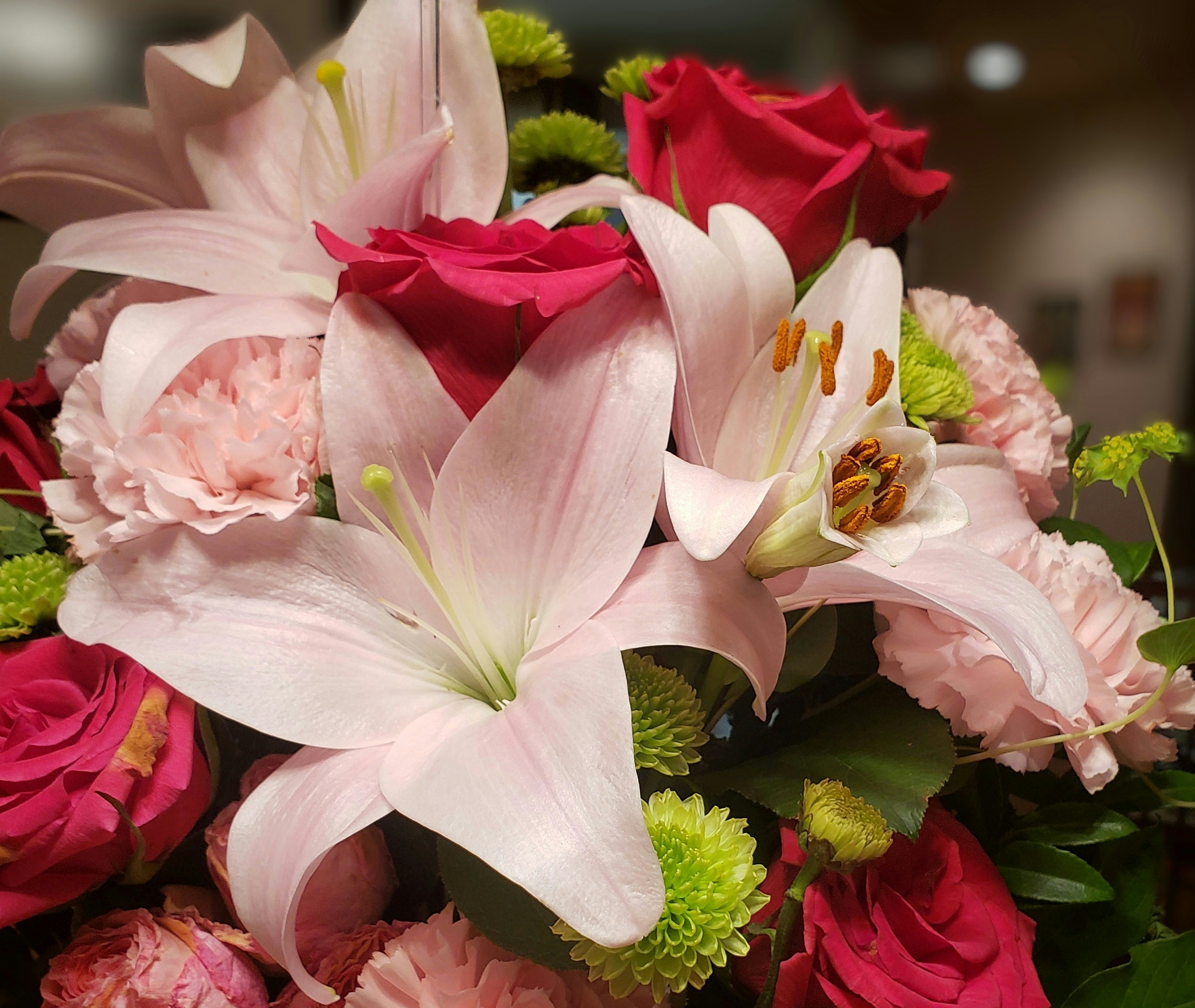 Photo by kellalouden