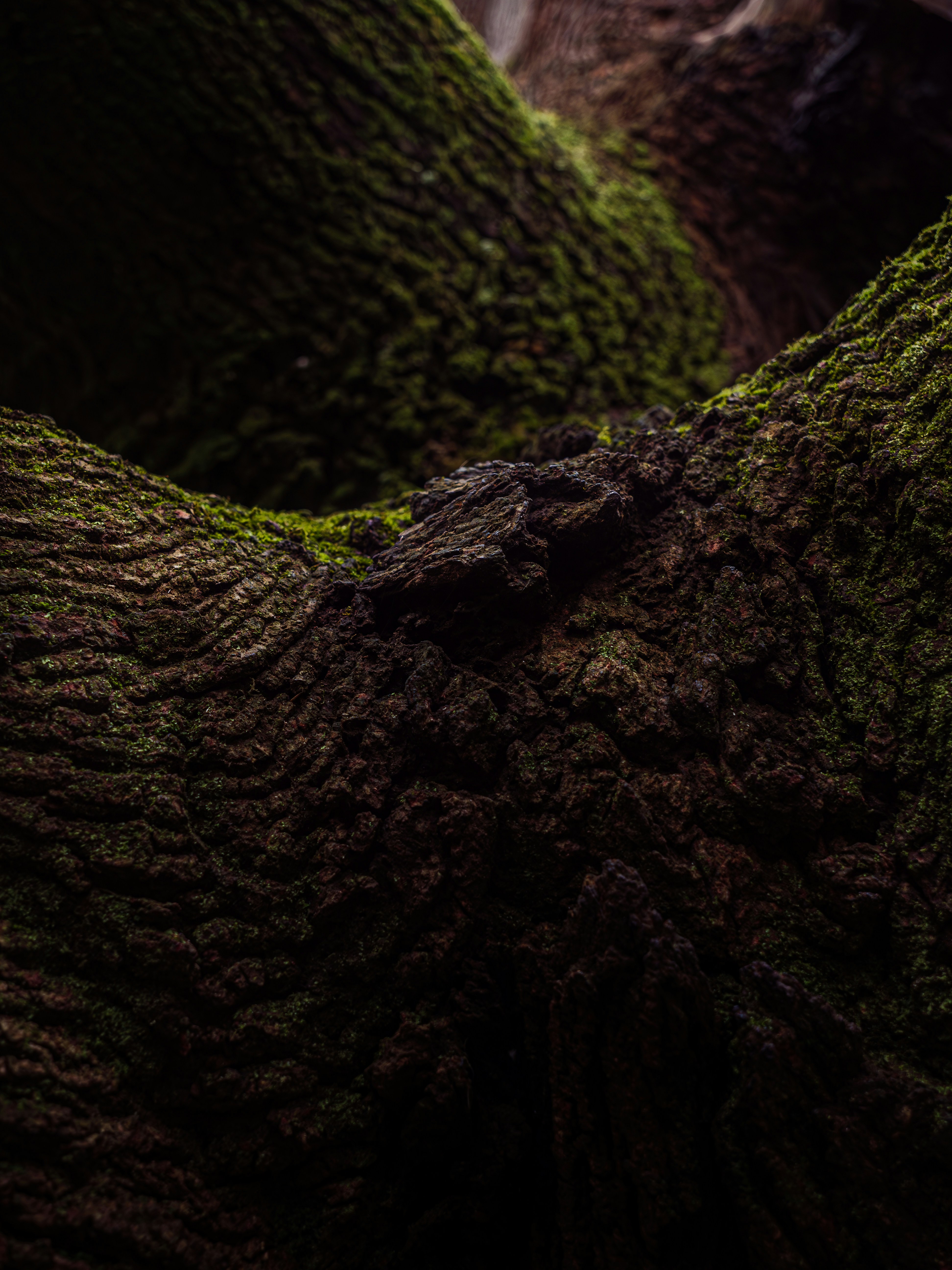 Photo by akosnemes