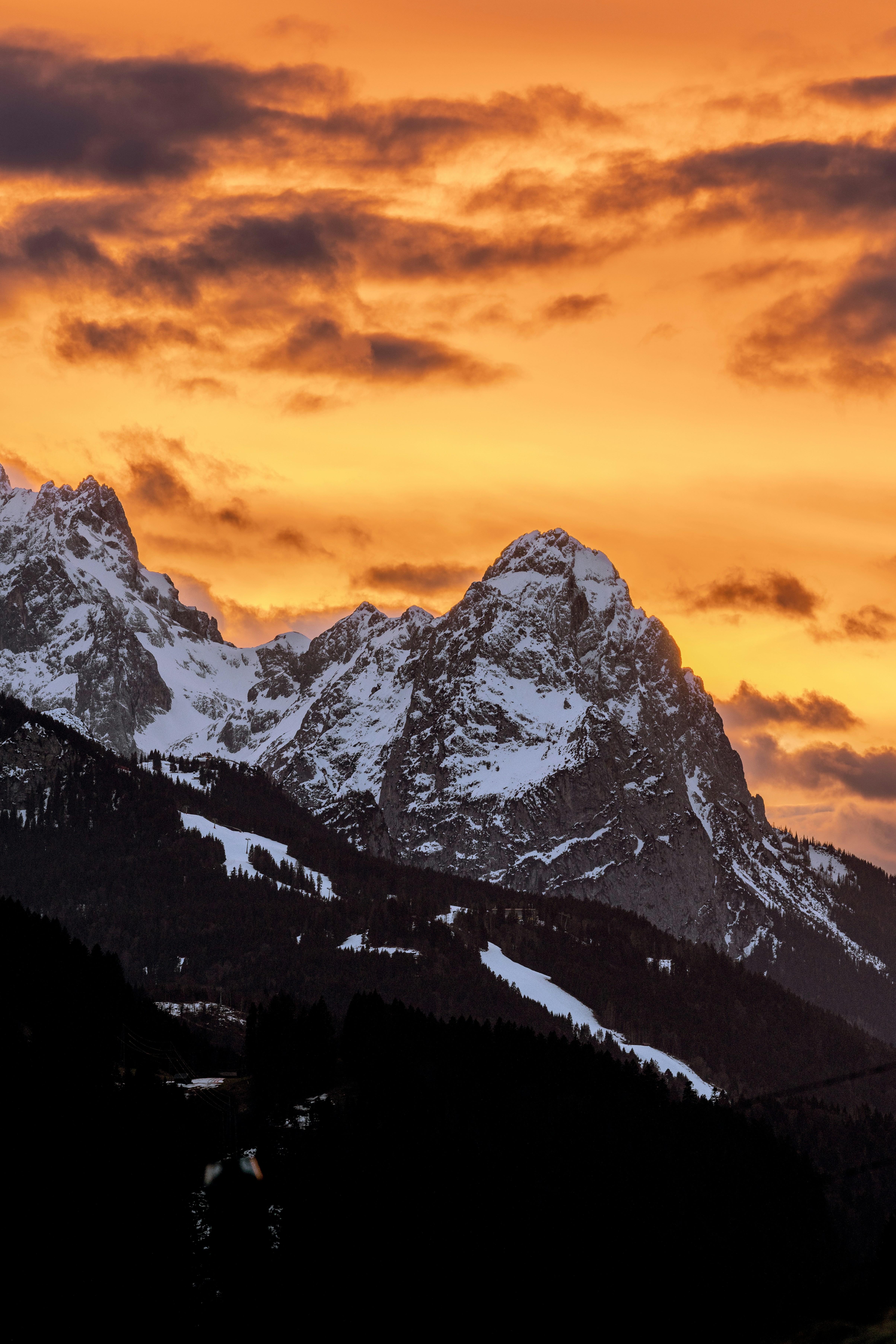 Photo by picture_scape