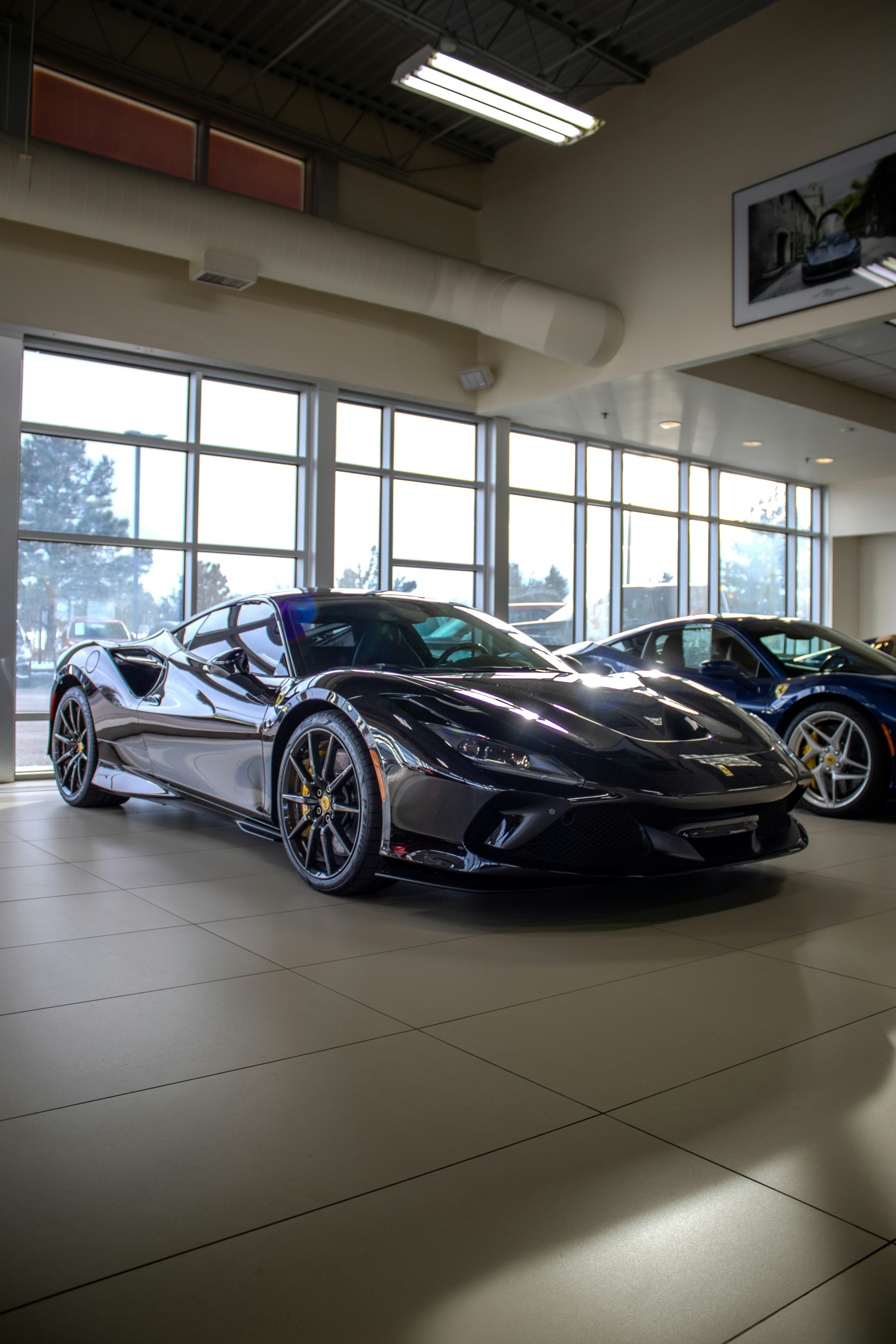 Photo by swanny__photography