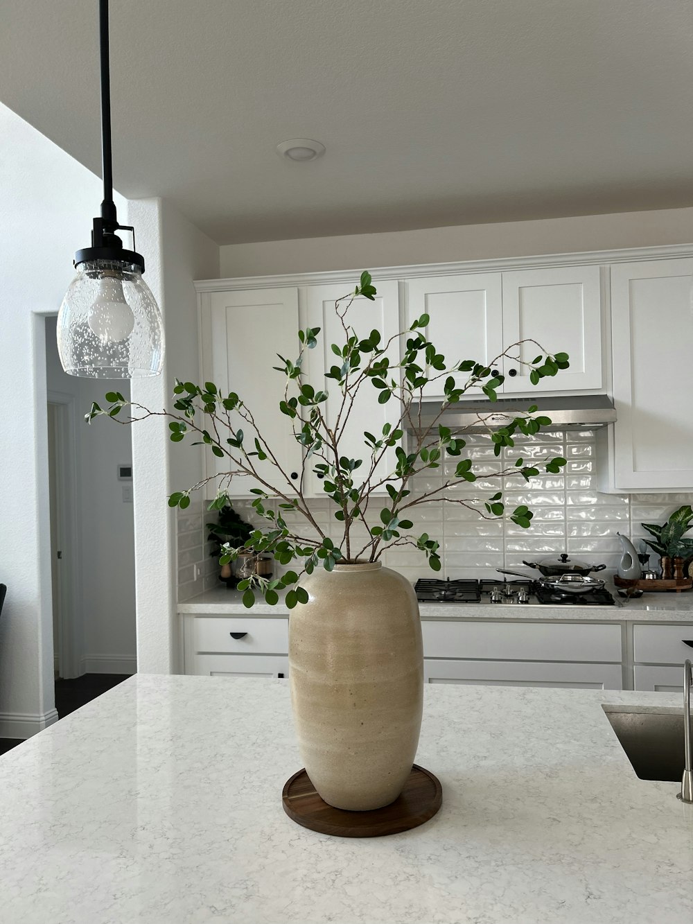 un vase avec une plante à l’intérieur posé sur un comptoir de cuisine