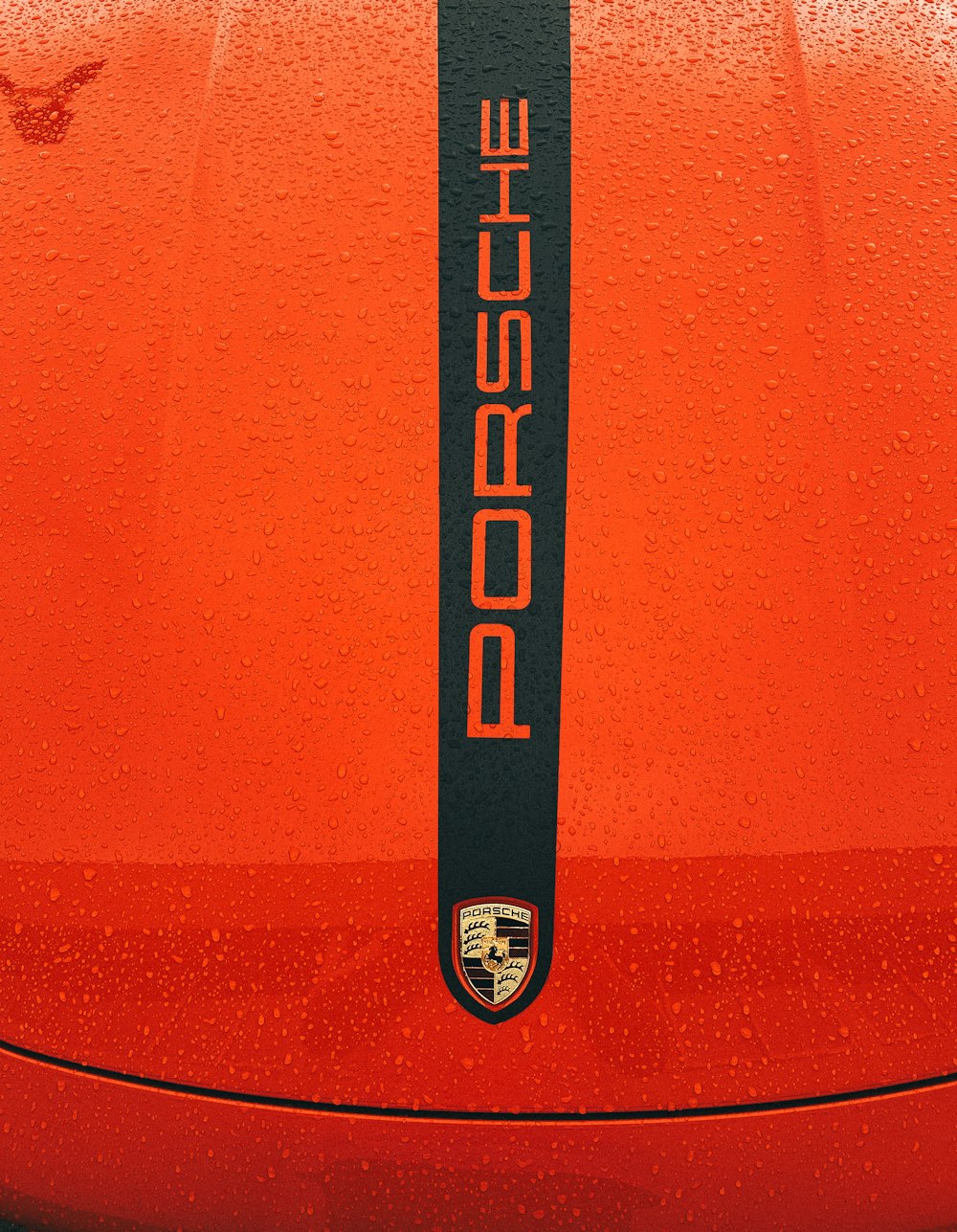 a close up of a porsche emblem on a car