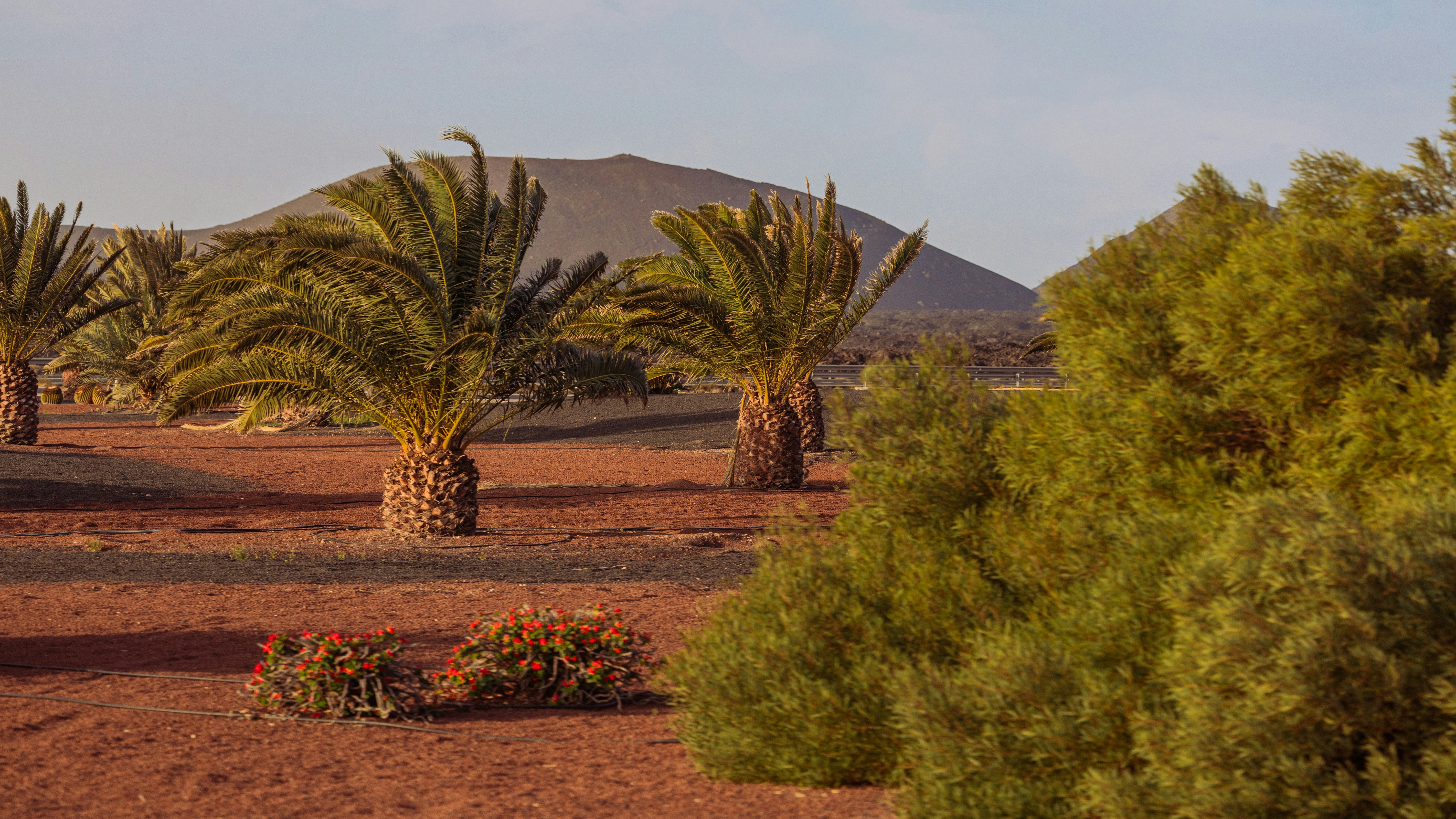 Photo by outrorafael