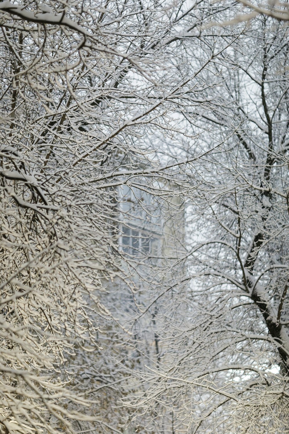 a person walking down a snow covered street