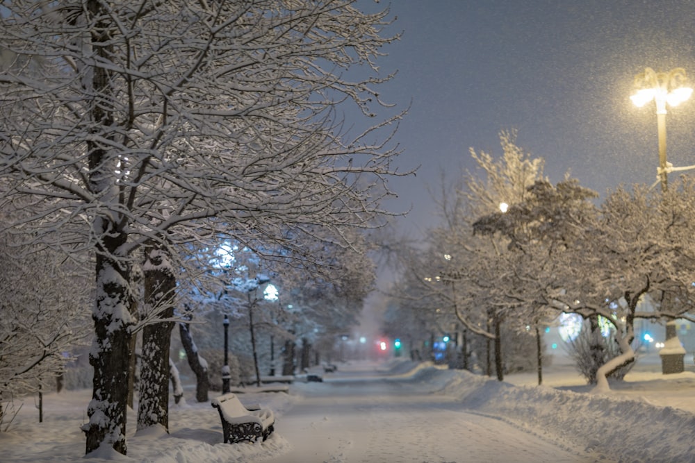 a snowy street at night with a bench in the foreground