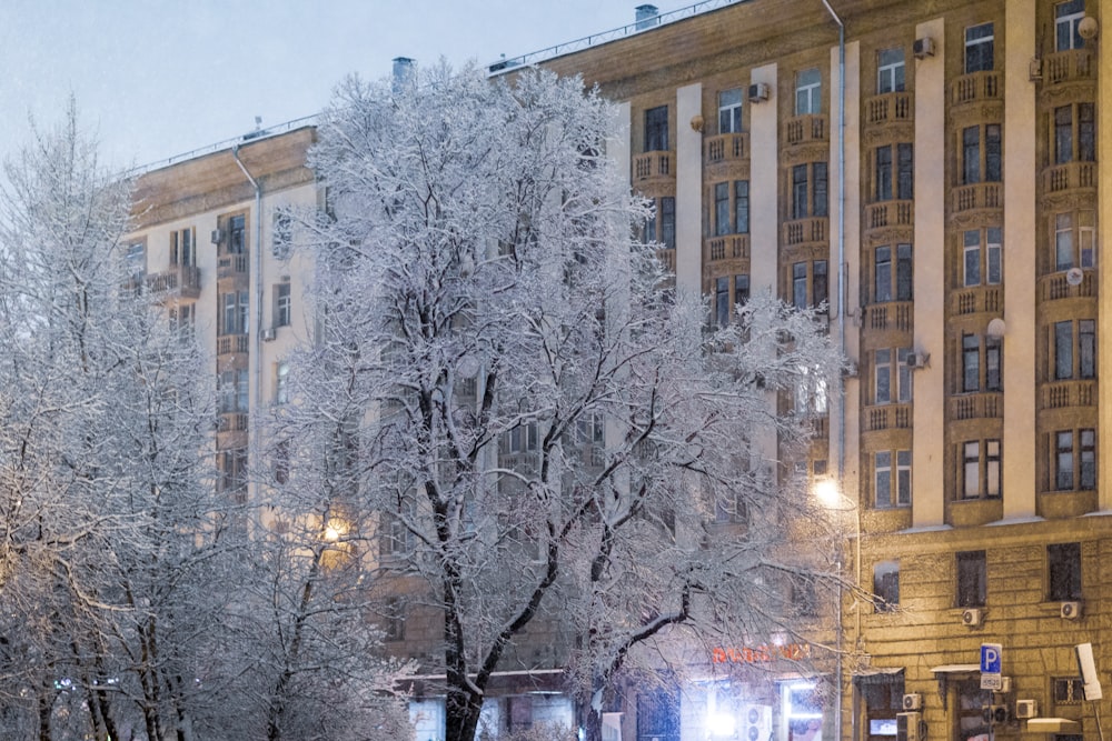 a snowy street with a building in the background