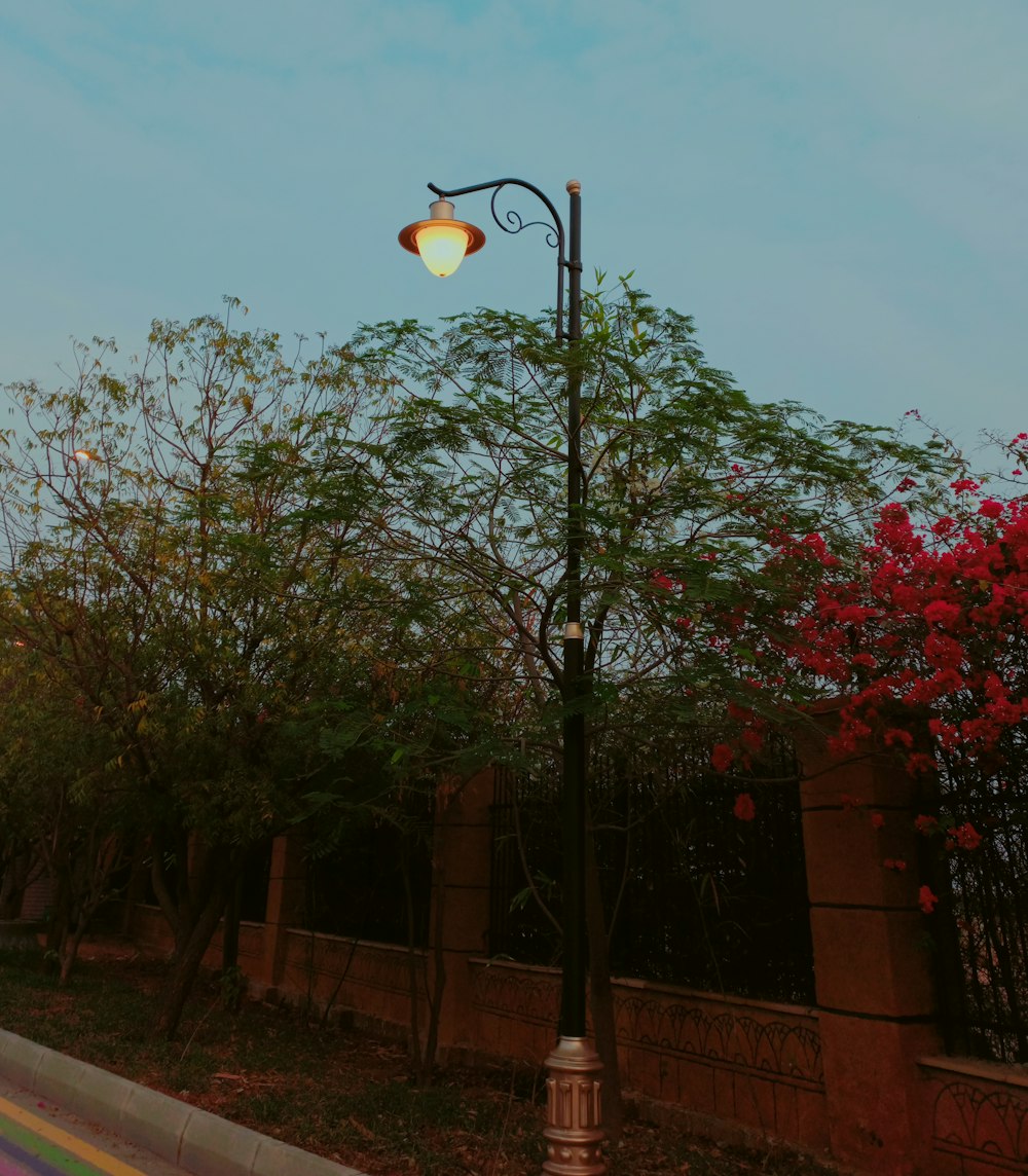 a street light sitting next to a lush green tree