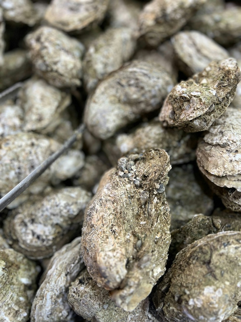 a pile of rocks with a pair of tongs sticking out of them