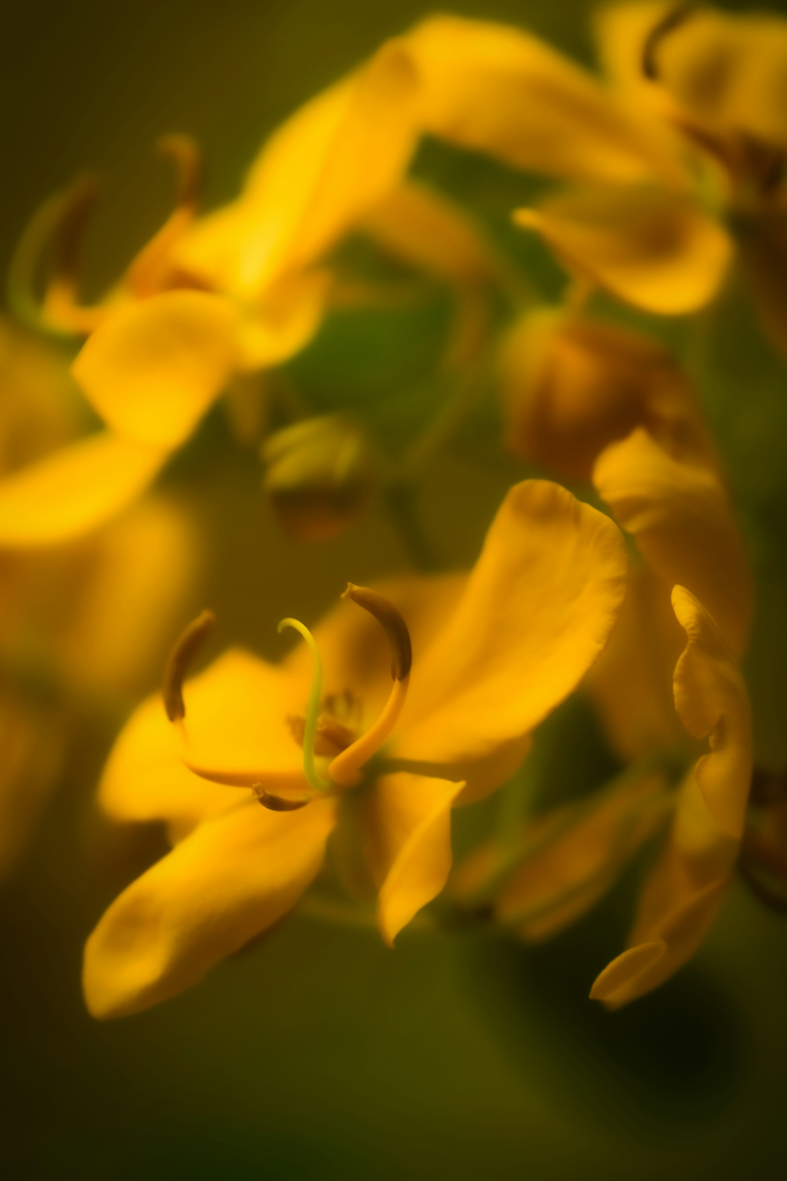 Photo by photosbyrachelo