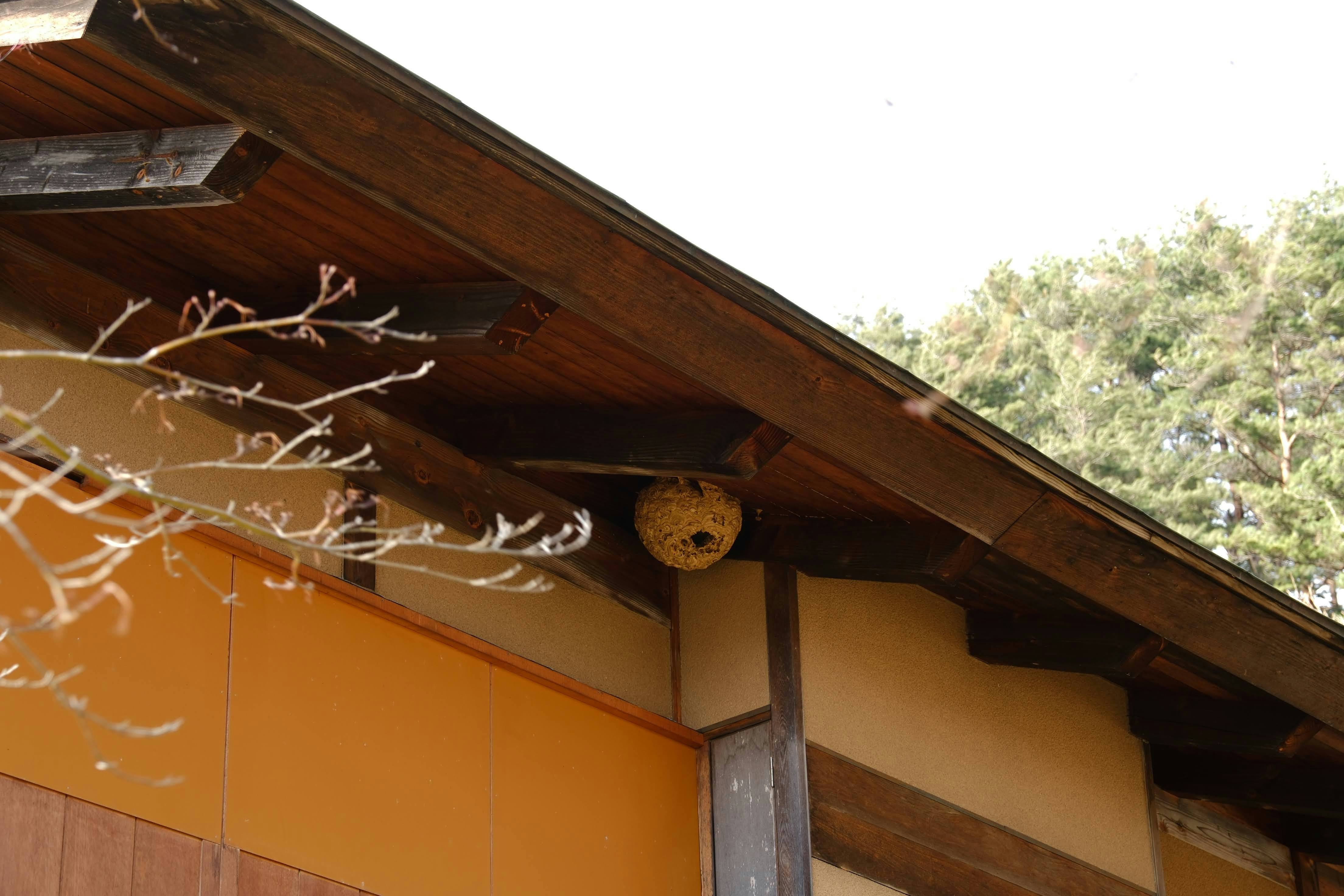 Photo by seiya_maeda