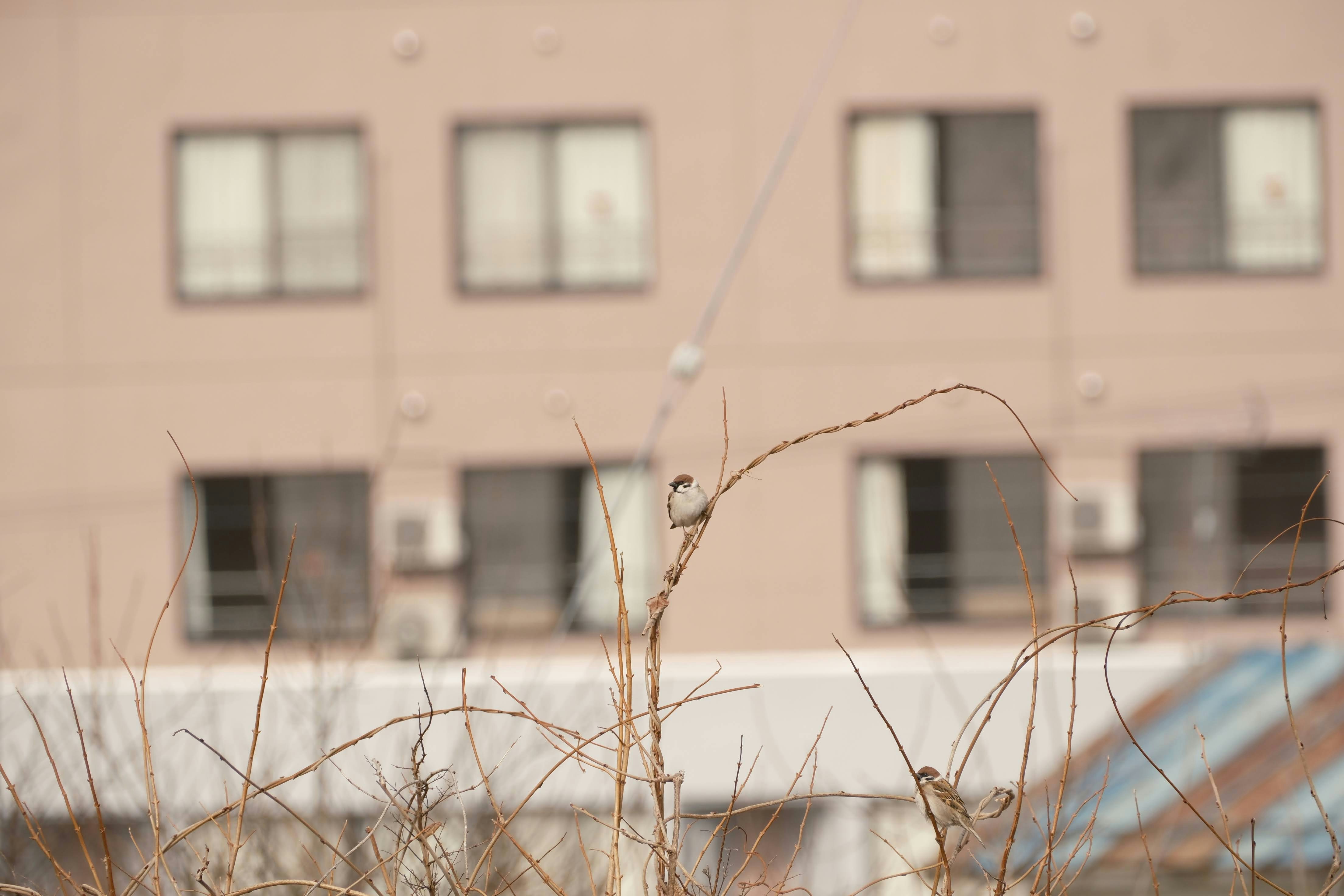 Photo by seiya_maeda