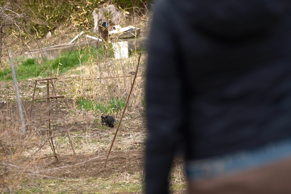 a person standing in a field looking at a bird