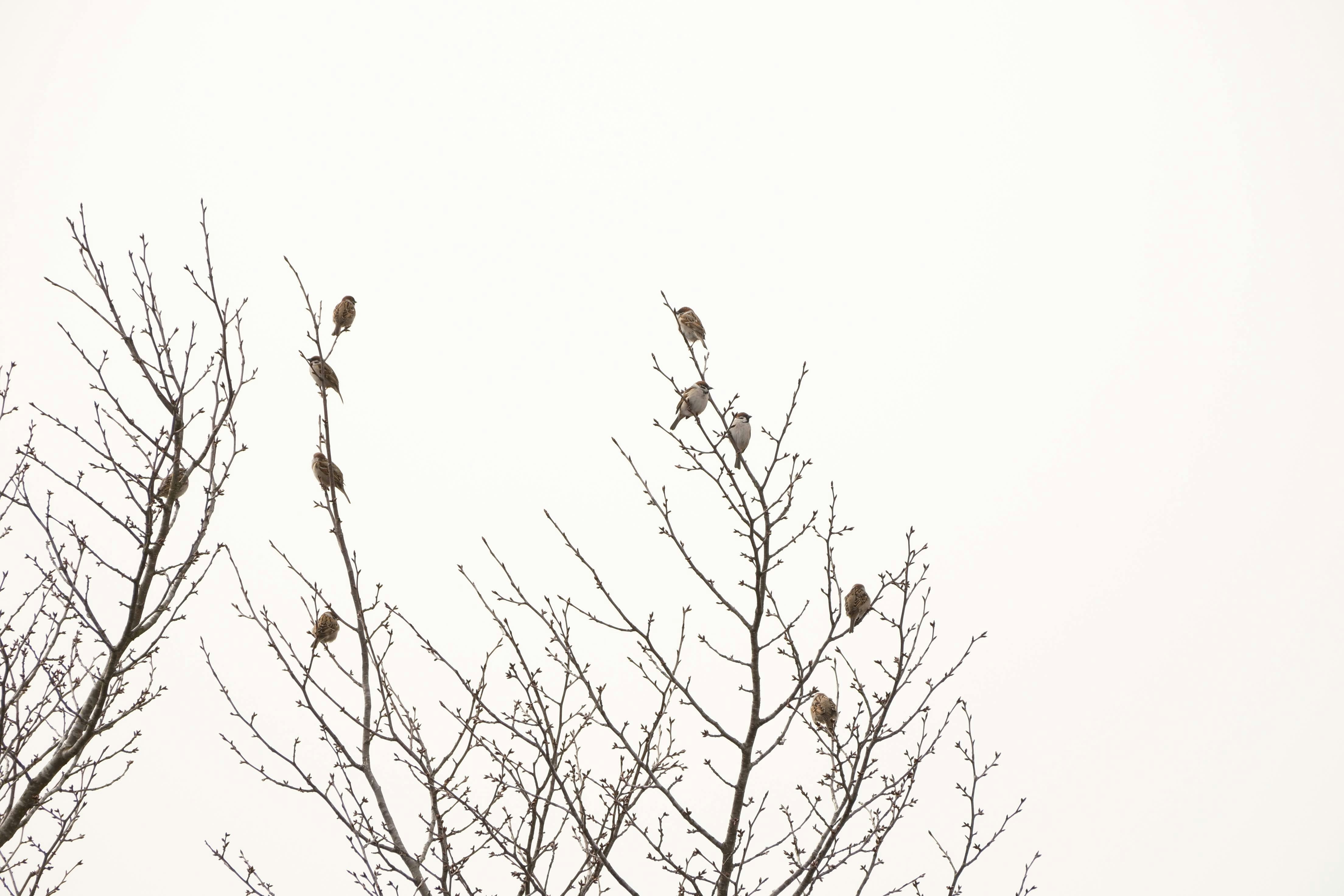 Photo by seiya_maeda