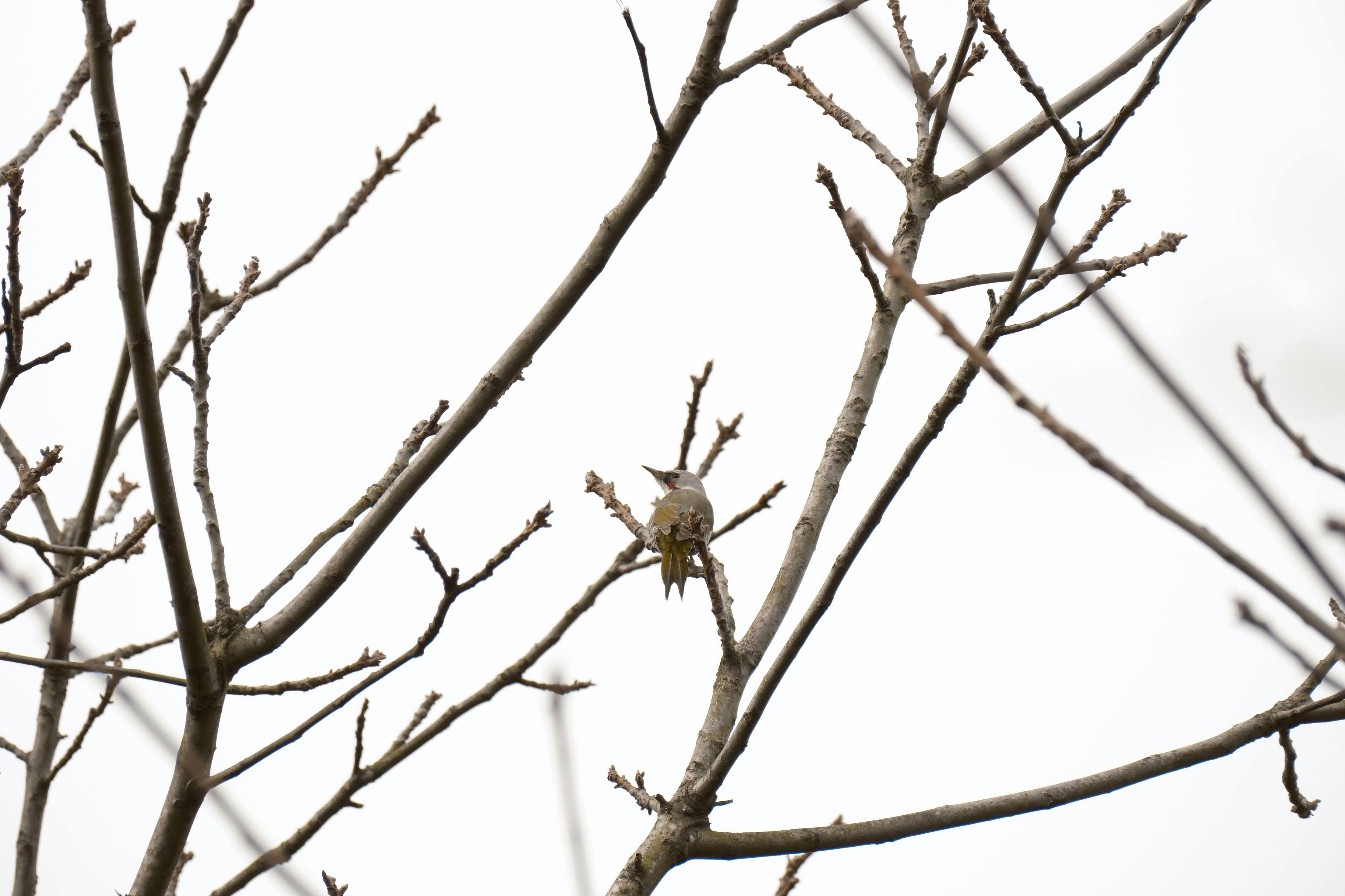 Photo by seiya_maeda