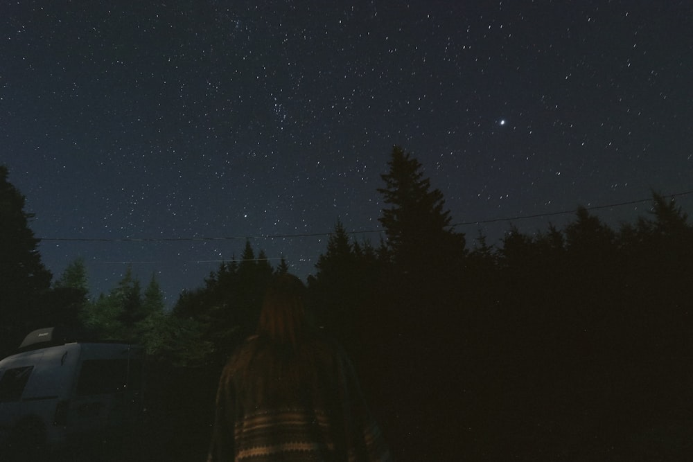 uma pessoa em pé ao lado de uma floresta sob um céu noturno