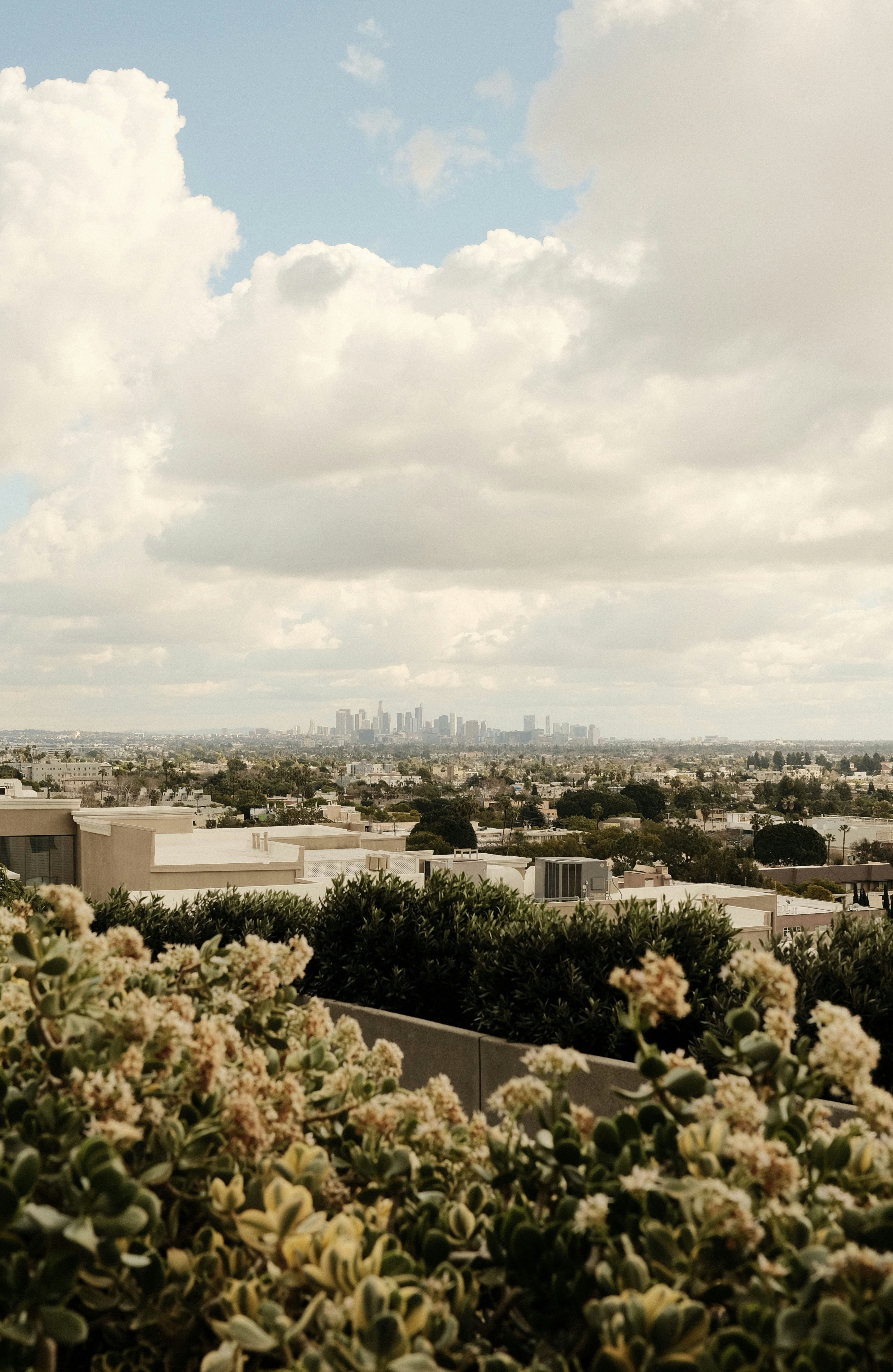 a view of a city from a hill top