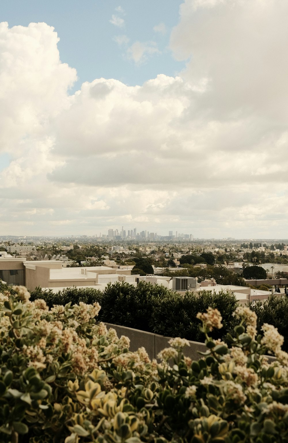 a view of a city from a hill top