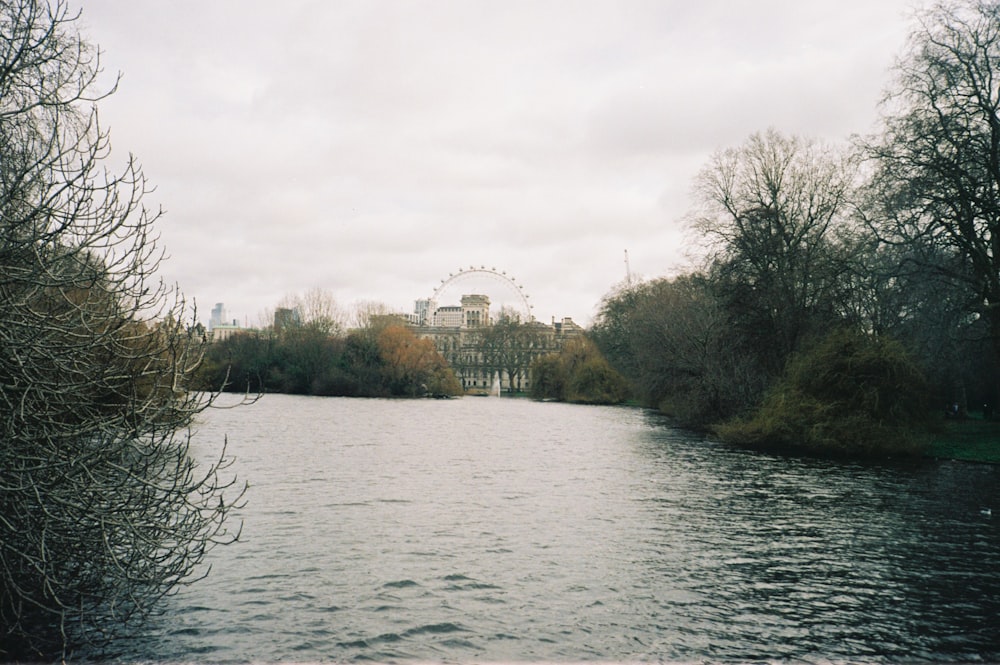 a body of water surrounded by trees and a ferris wheel